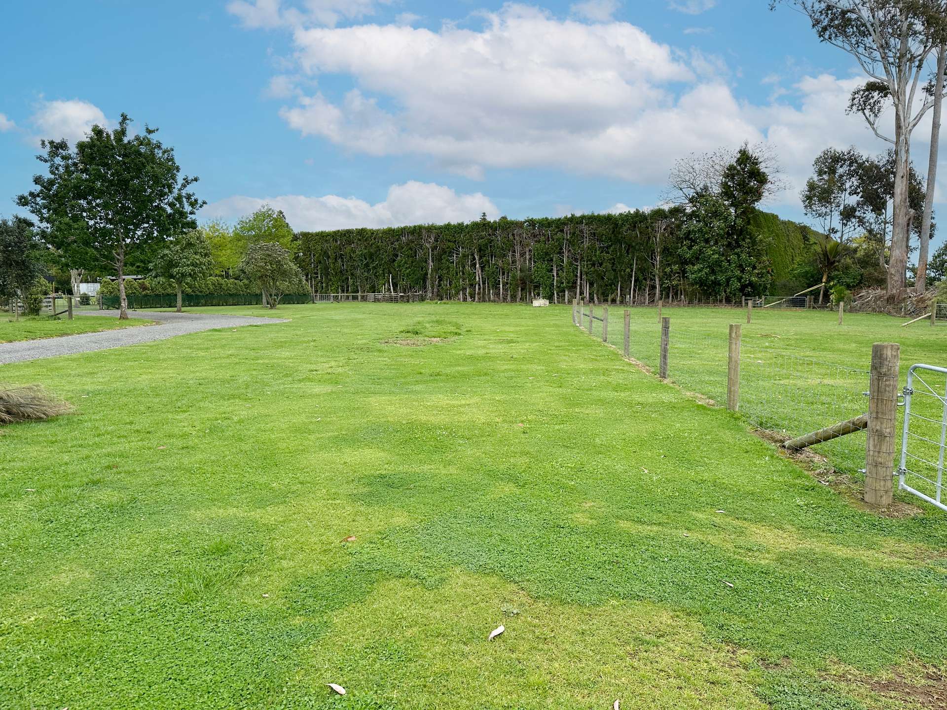 6A Ngapuhi Road photo 5