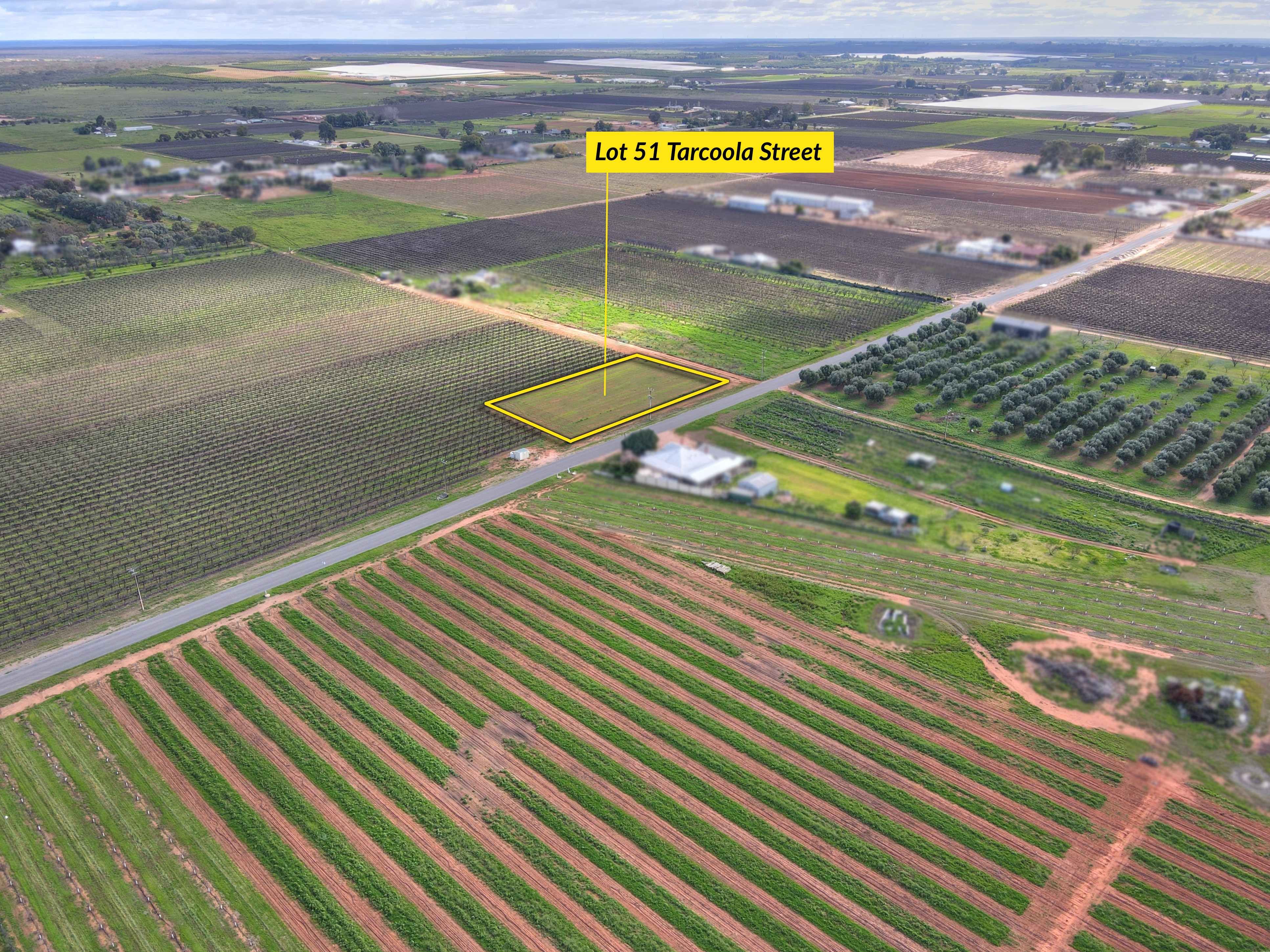 Lot 51 Tarcoola Street — photo from Ray White Riverland