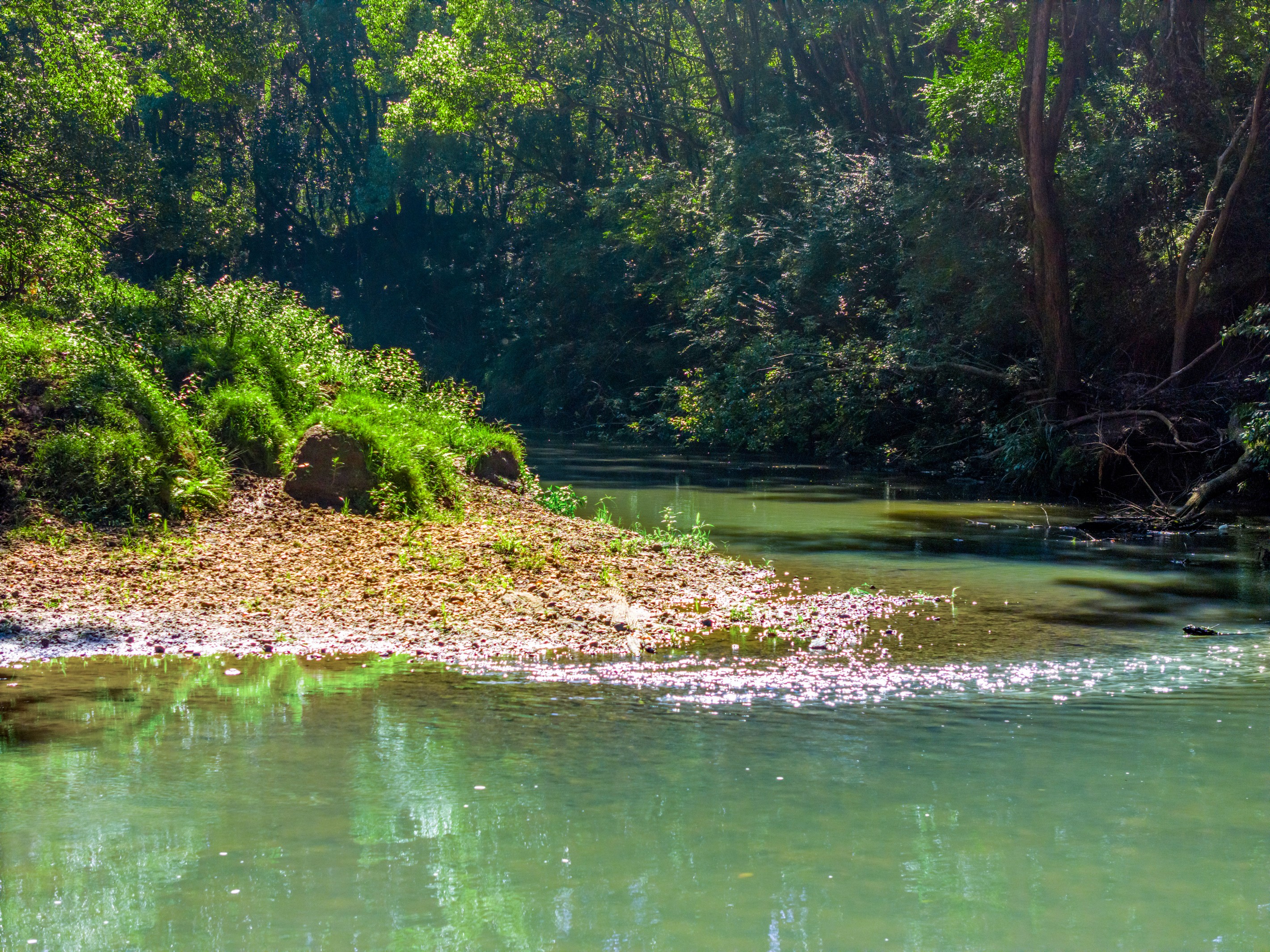 730 Lismore Road, Nashua, NSW 2479