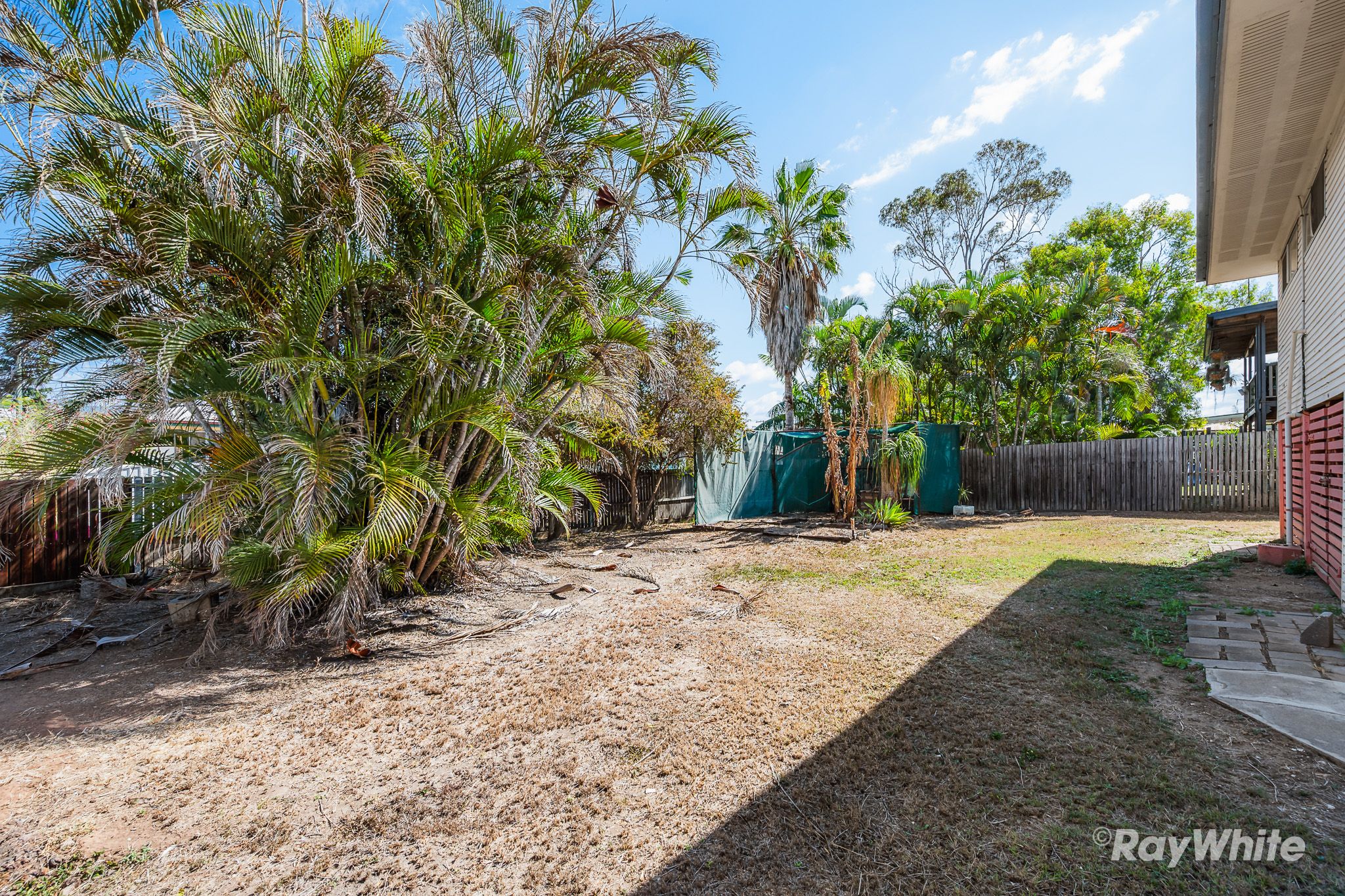 19 Javelin Street — photo 16 of 23