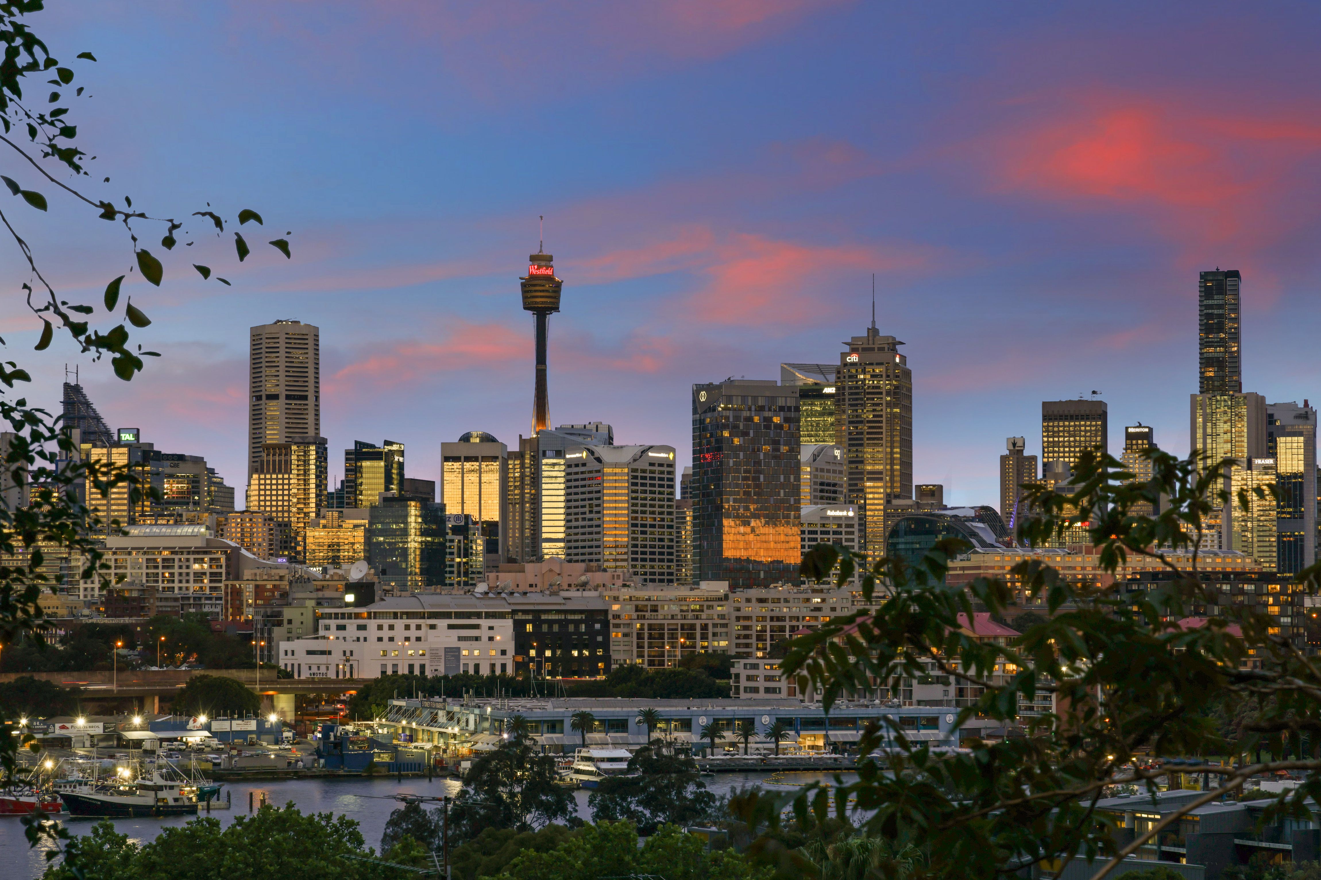 3/9 Cook Street, Glebe, NSW 2037