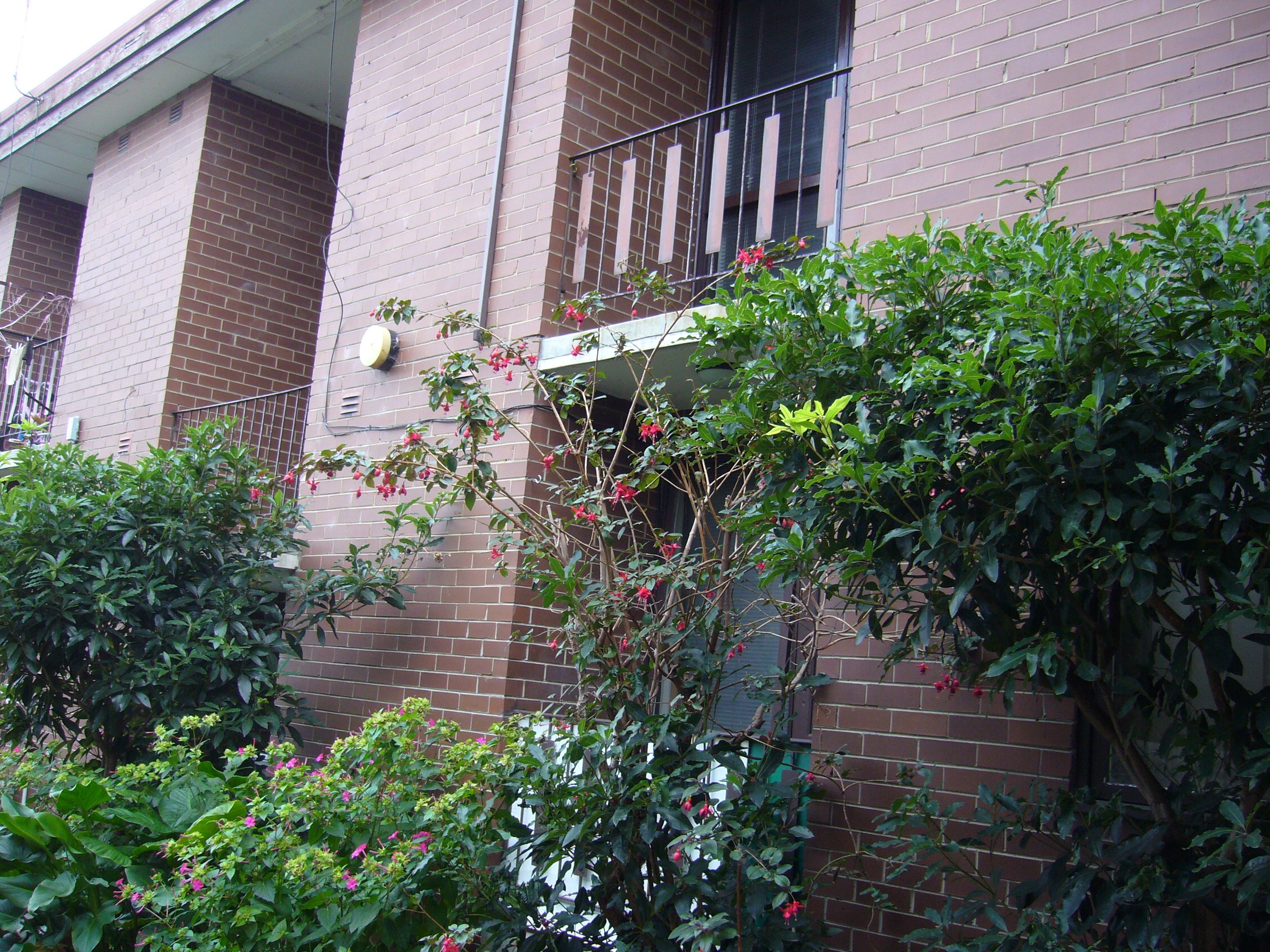 7/43 Potter Street, Dandenong, VIC 3175