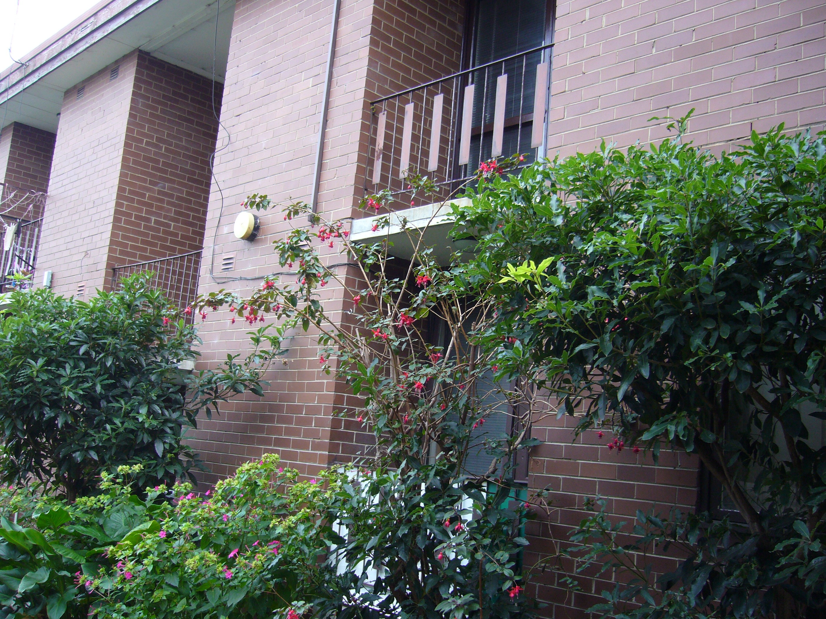 7/43 Potter Street, Dandenong, VIC 3175