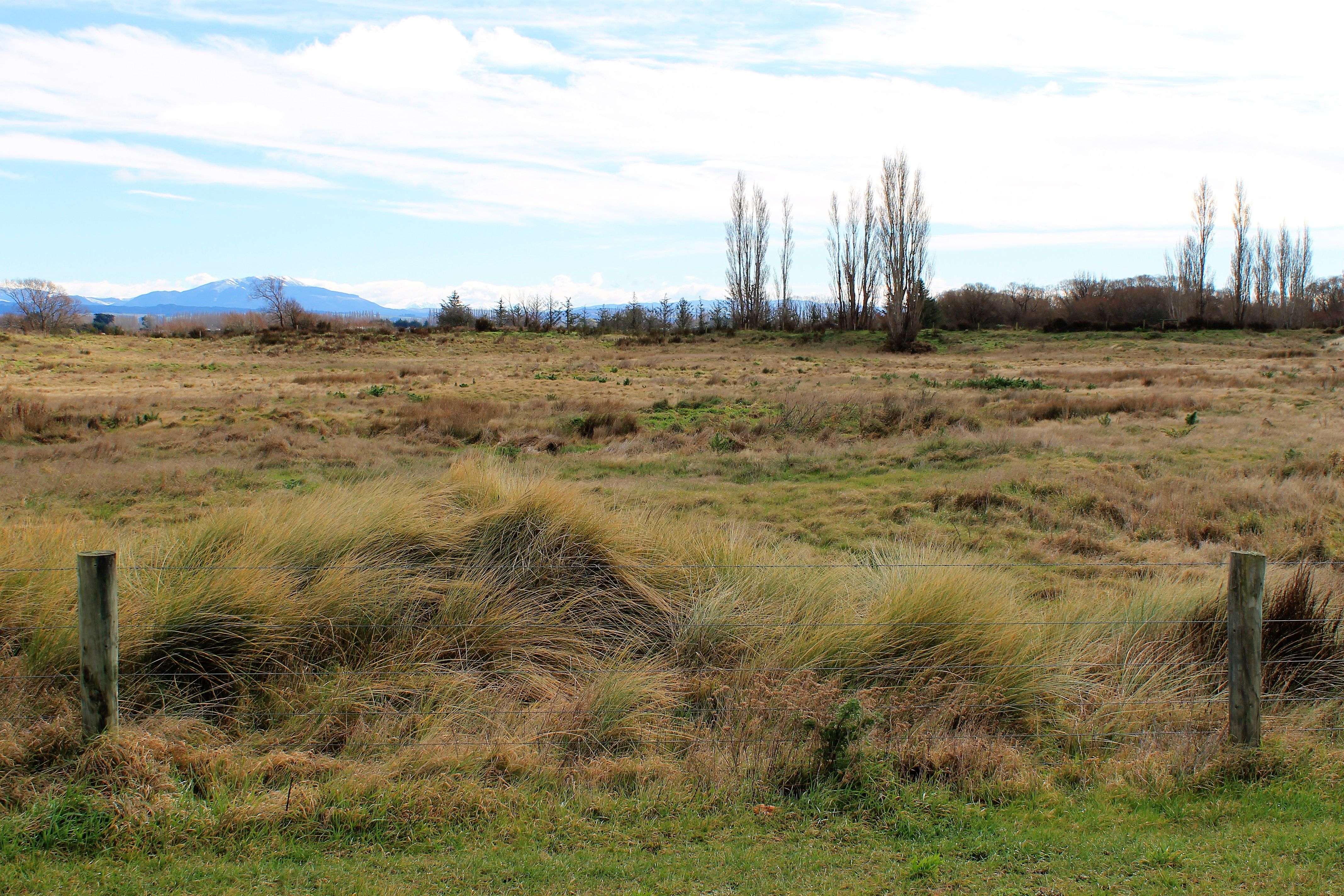 17 Te Hurunui Drive, Pegasus, Waimakariri District