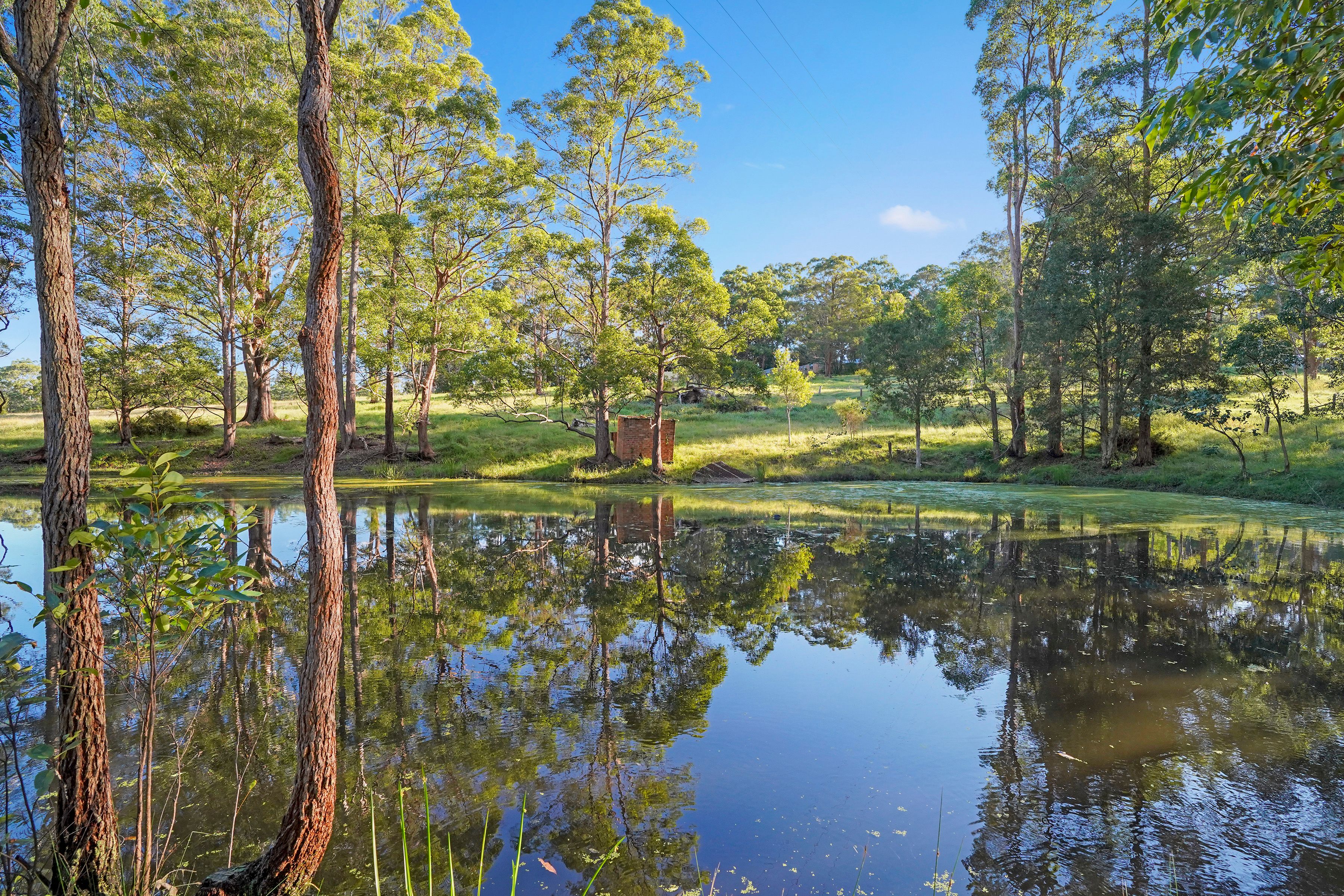 "Tallawood Lodge" 229 Sauls Road, Mandalong, NSW 2264 Sold Rural