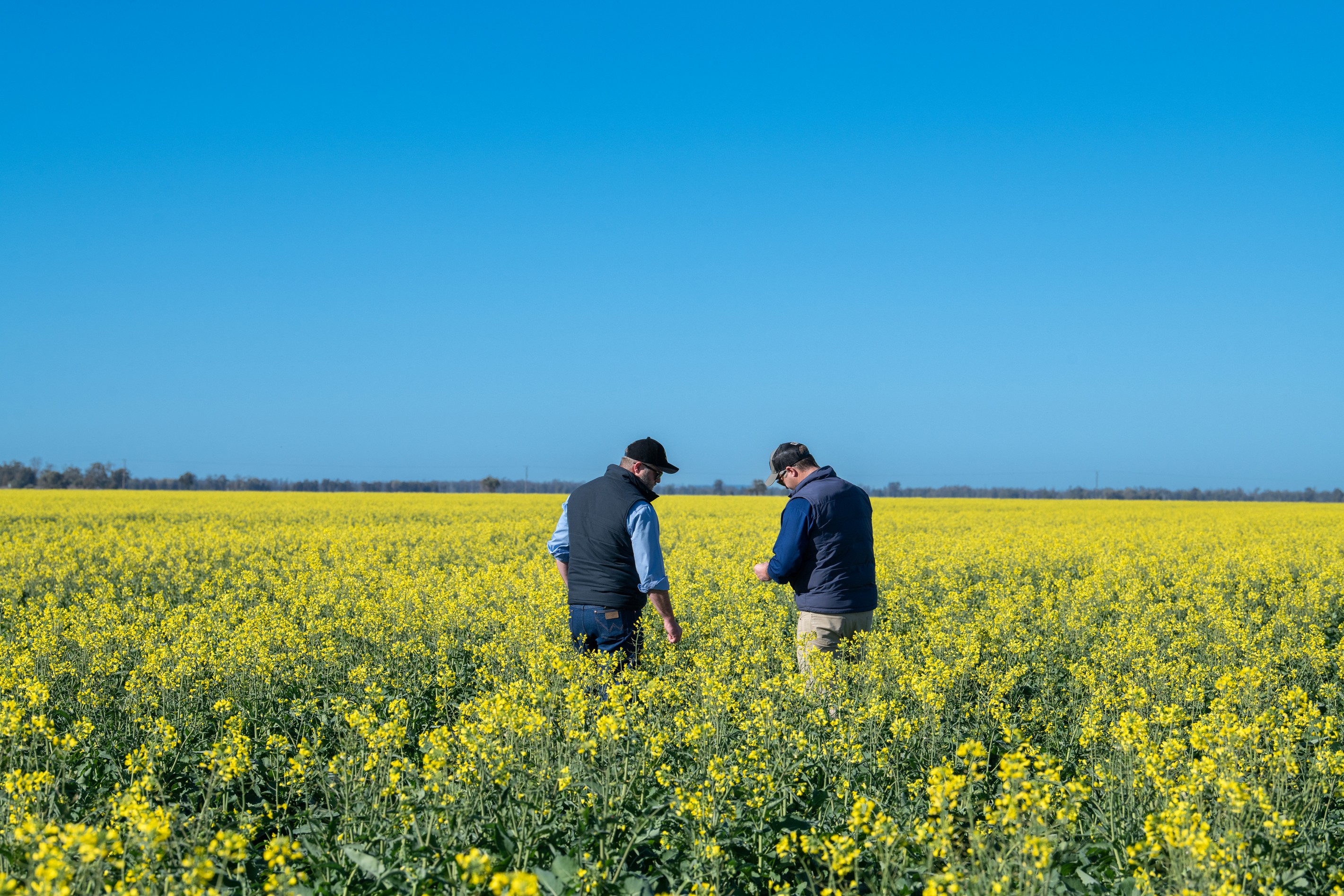 28994 Newell Highway, Tulloona, NSW 2400