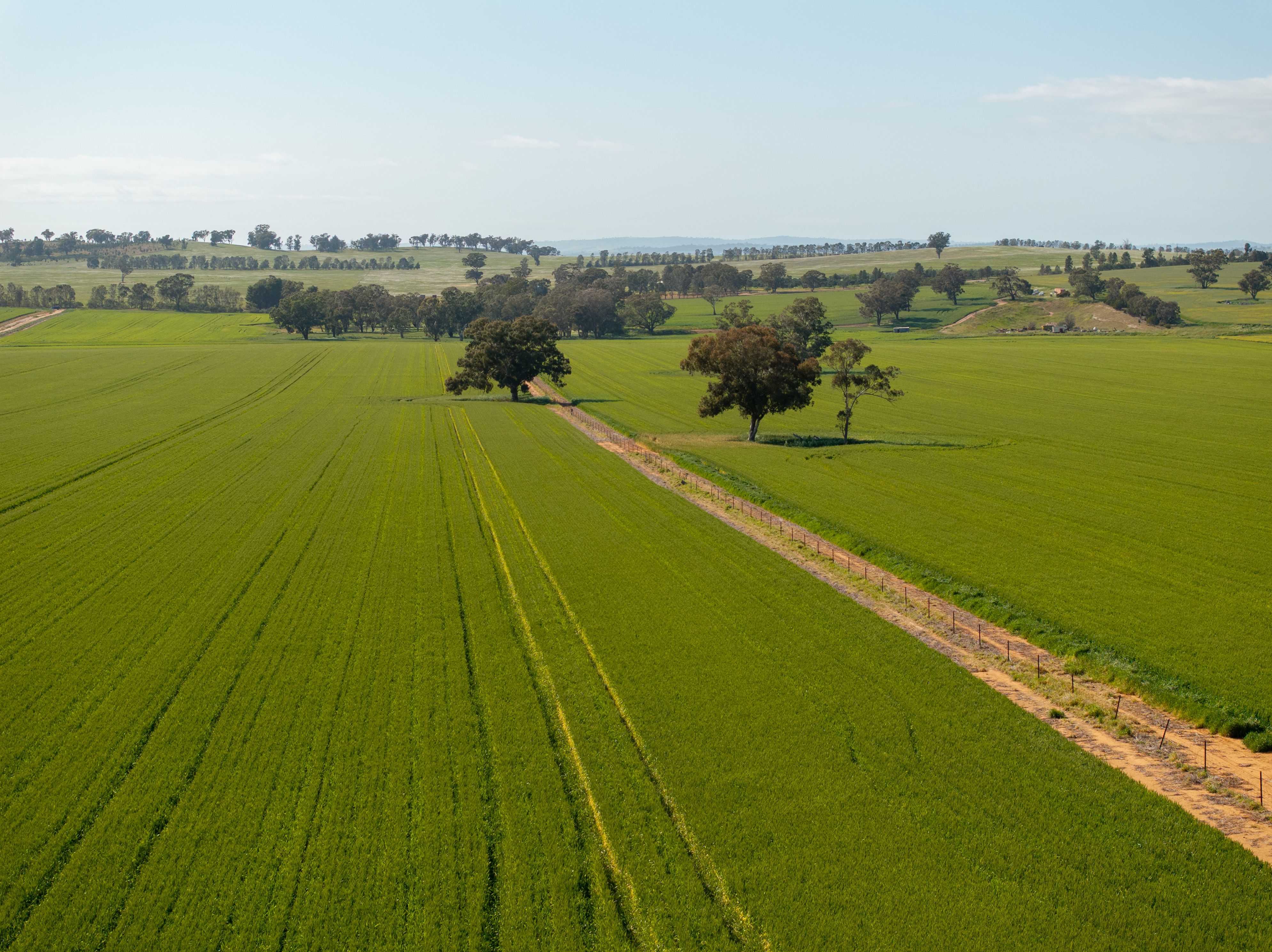 267 Gap Hall-Coolamon Road — photo 11 of 13