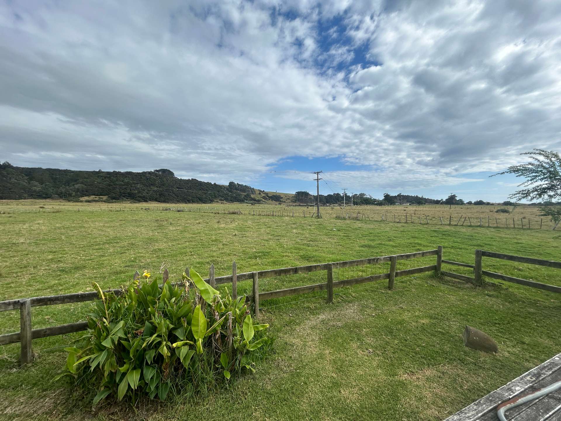187 Rahuikiri Road photo 5