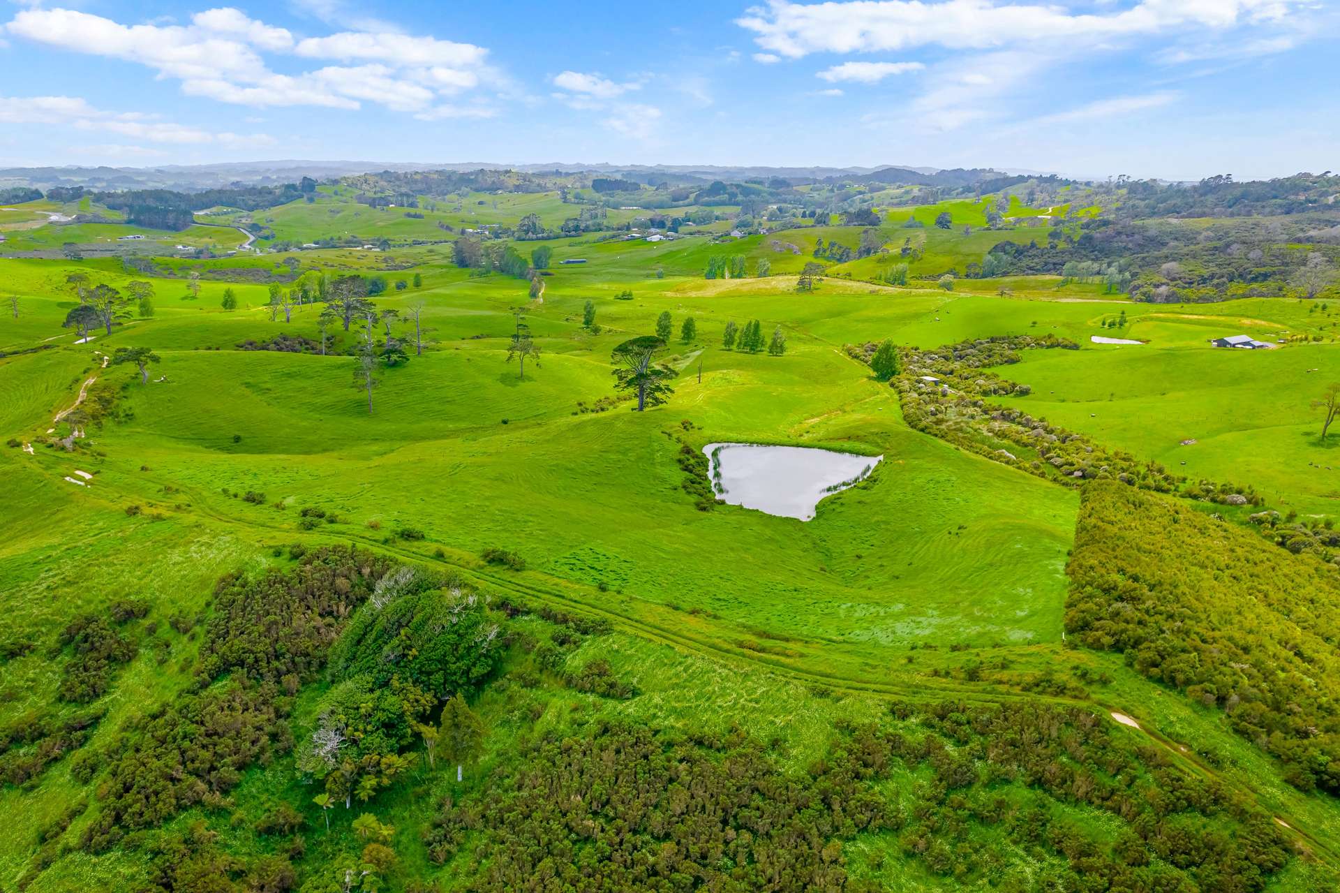 515 Kahikatea Flat Road photo 10