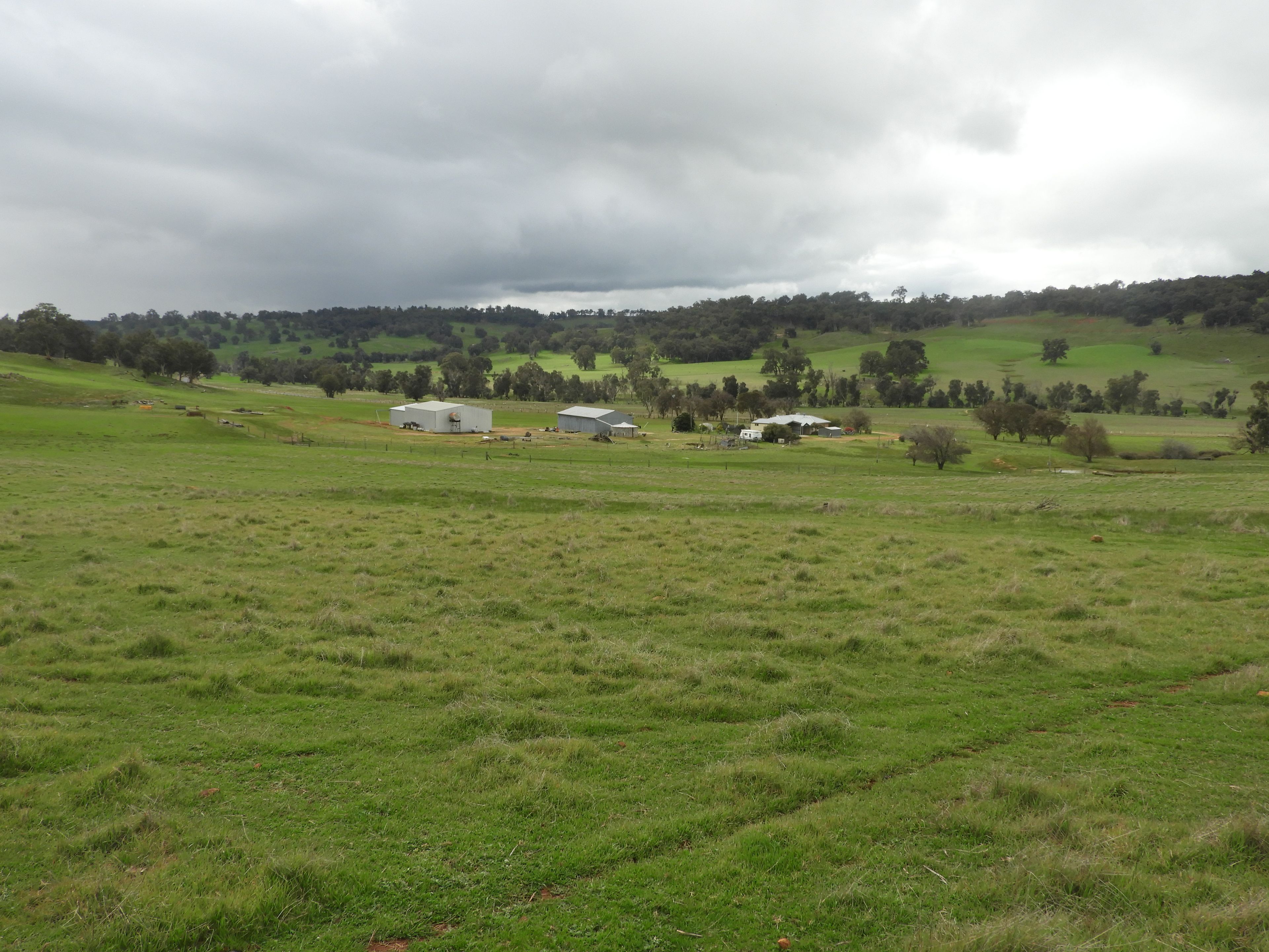 Kyellen Farm, Quindanning-Darkan Road — photo 7 of 30