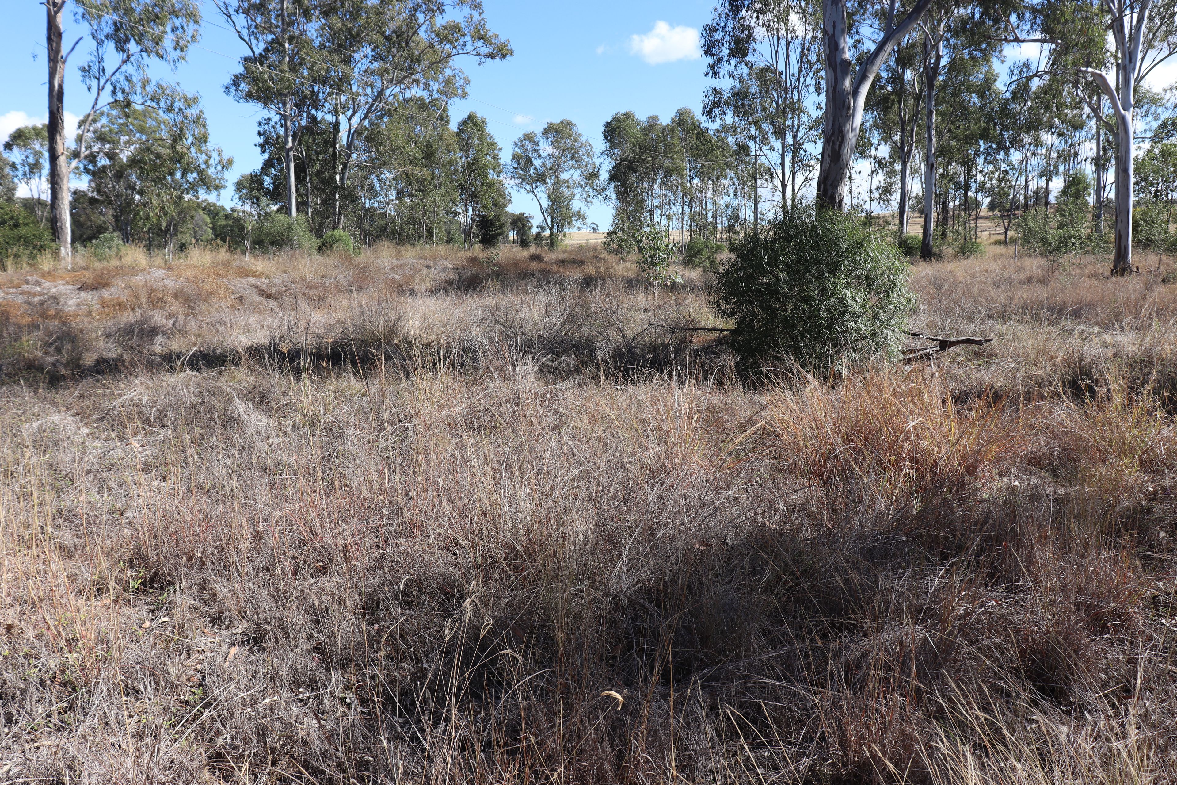 Lot 3 Greiners Road, Mundubbera QLD 4626