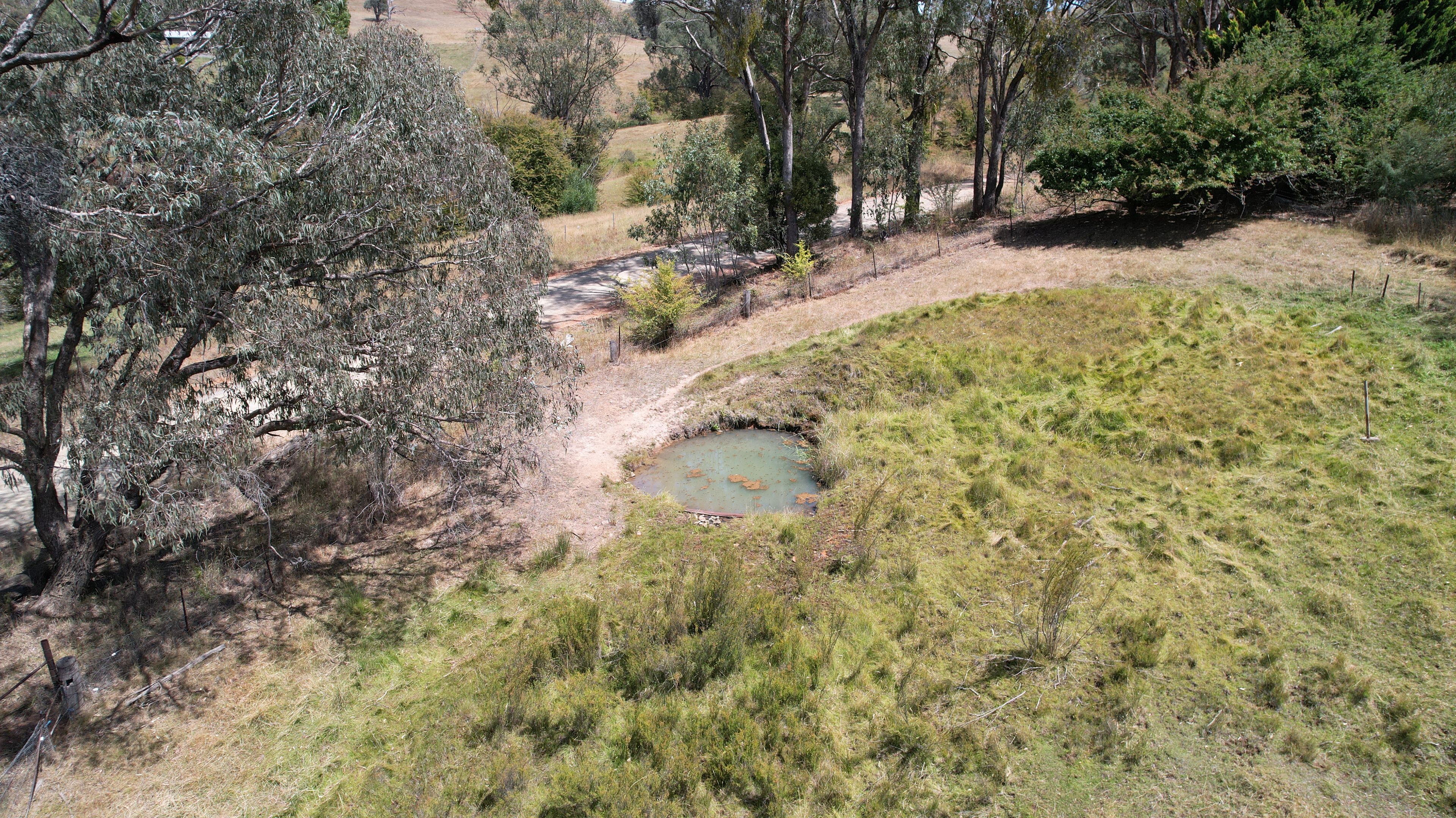 113 Bogong Street — photo 14 of 18