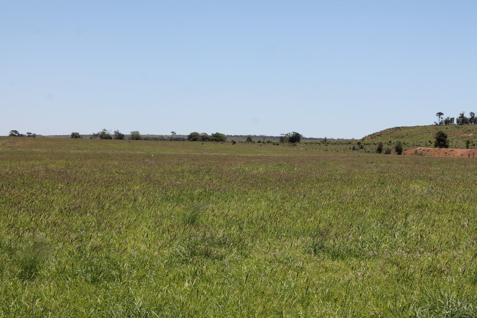 4895 Teelba Road, St George, QLD 4487