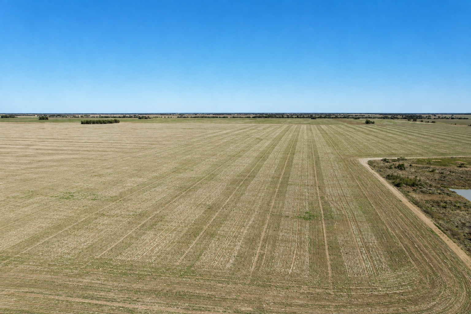 1522 Tullagrie Road — photo from Ray White Rural Tara