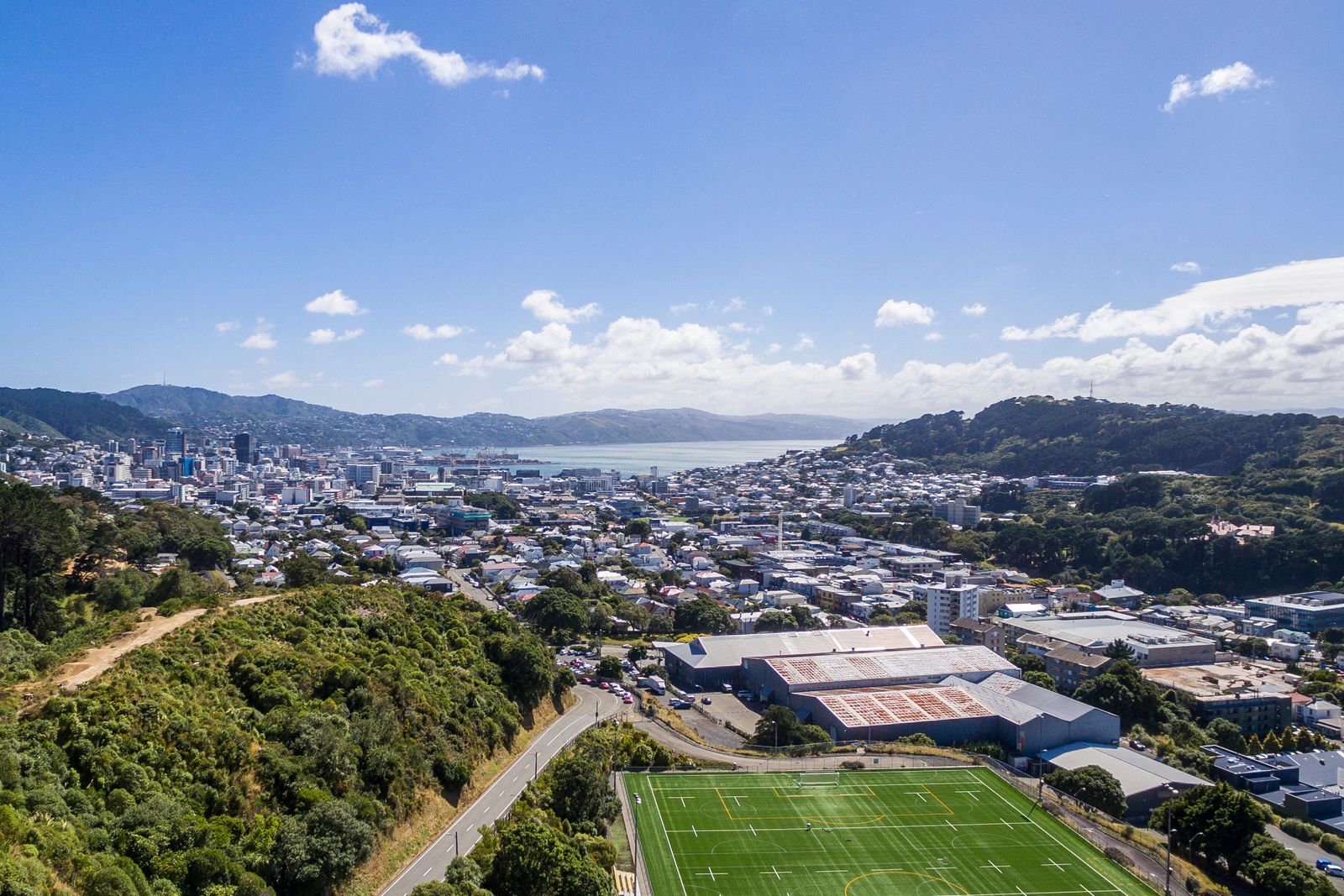 2B Pearce Street, Vogeltown, Wellington City
