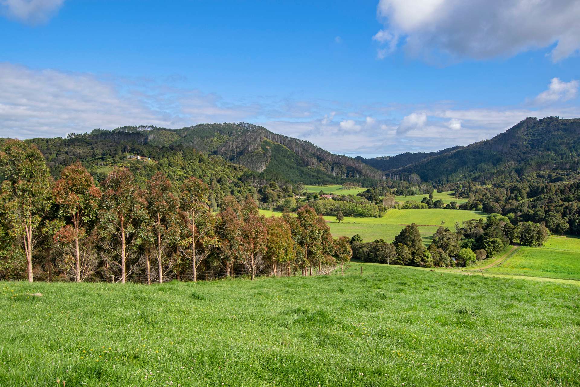 0 Russell Road Airstrip Block photo 25