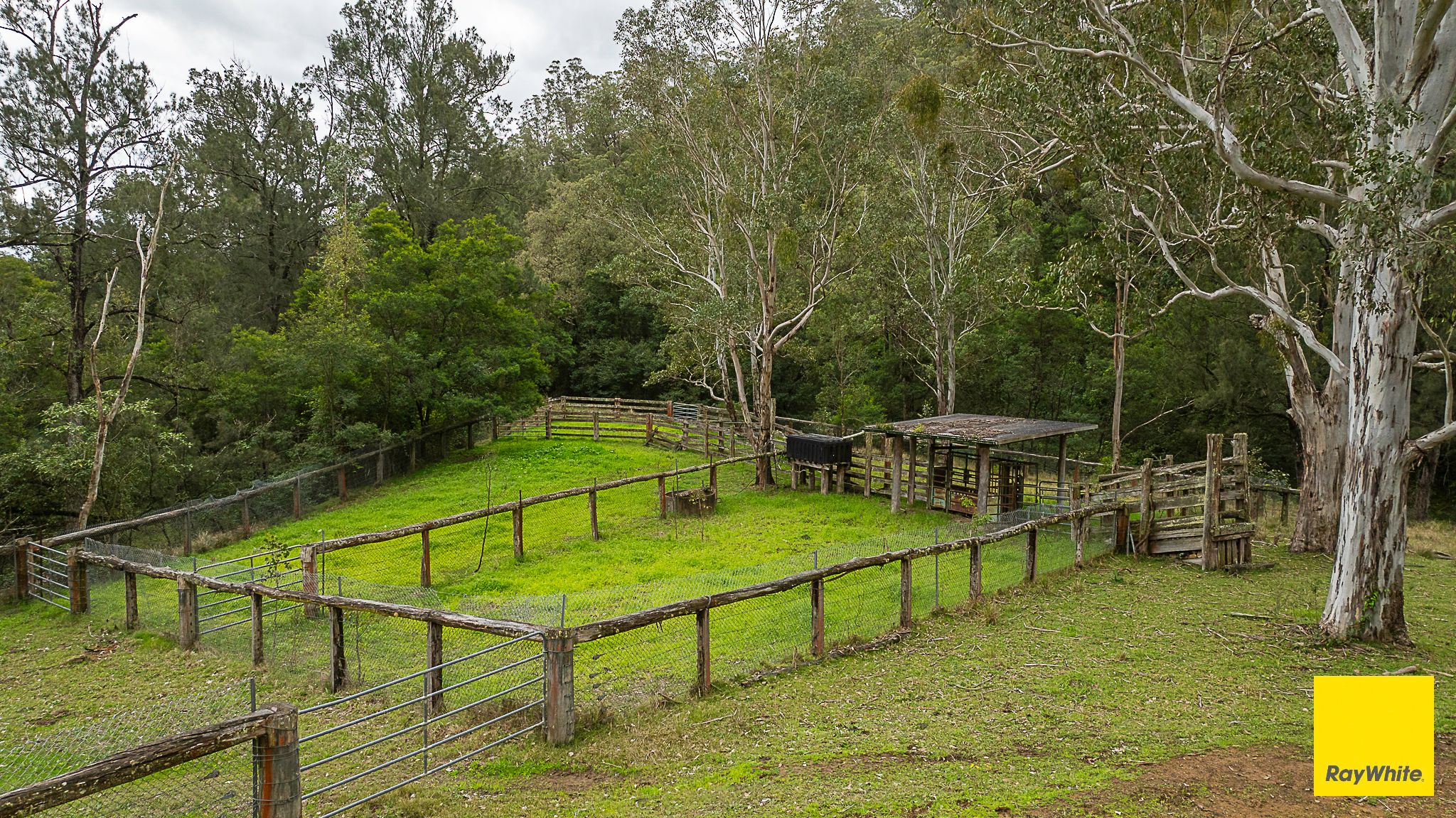 260 Dog Trap Creek Road — photo 13 of 24