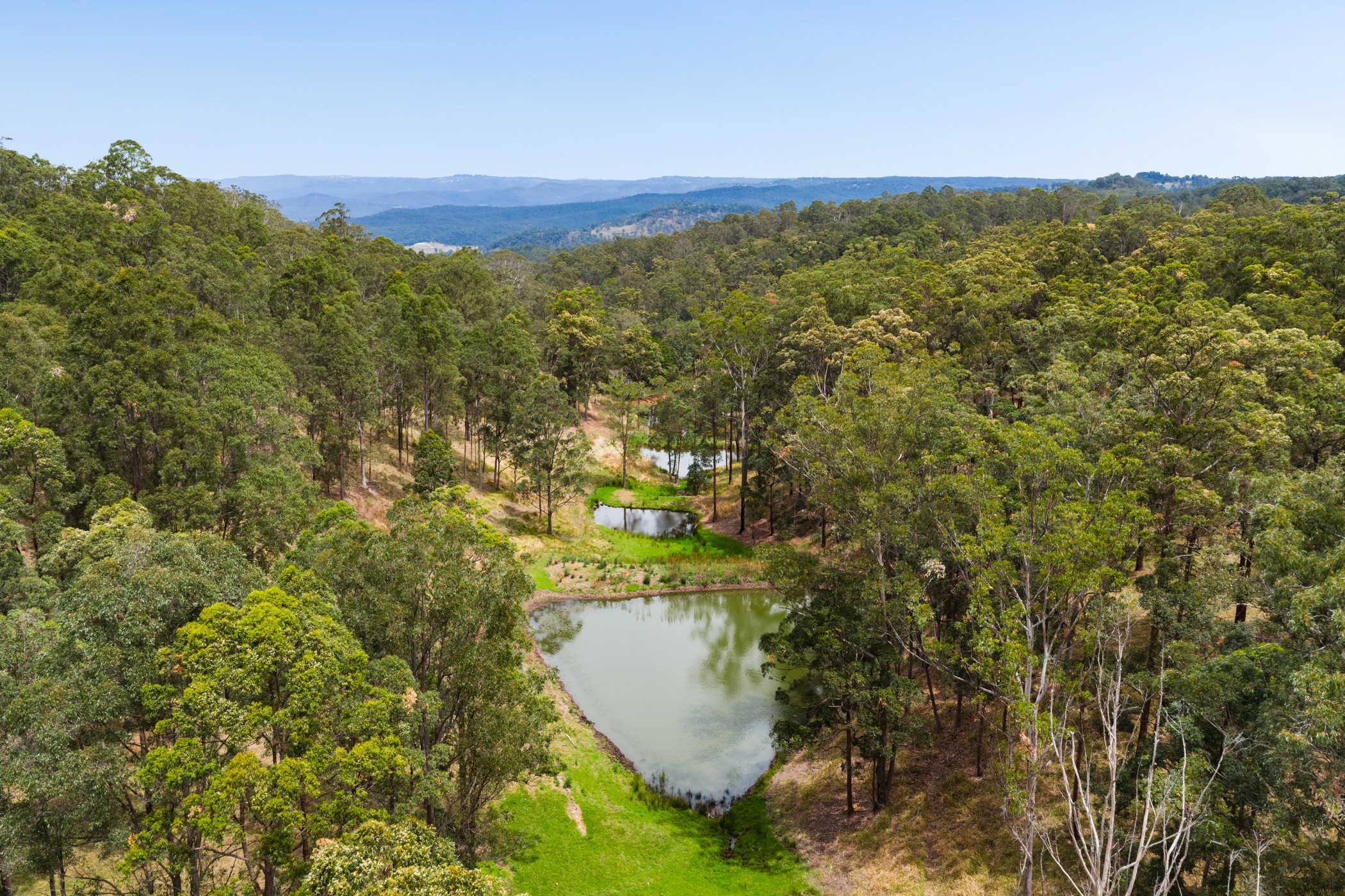 Lot 17 203 Collingwood Road, Hampton, QLD 4352