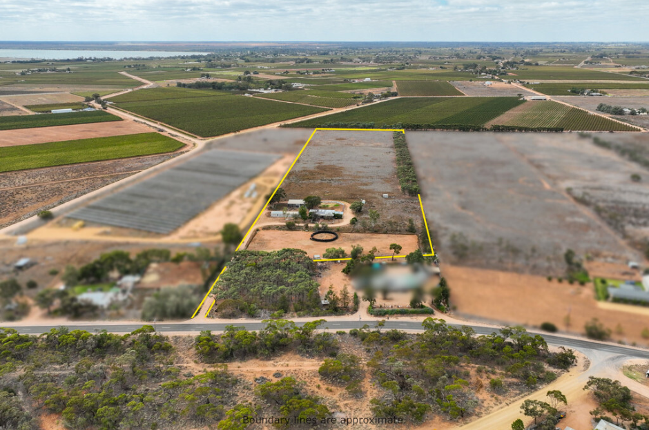 329 Loveday Road, Loveday SA 5345