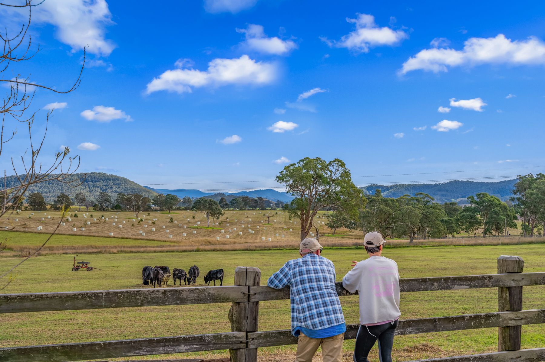 5 Faulkland Road — photo from Ray White Rural Lifestyle Sydney