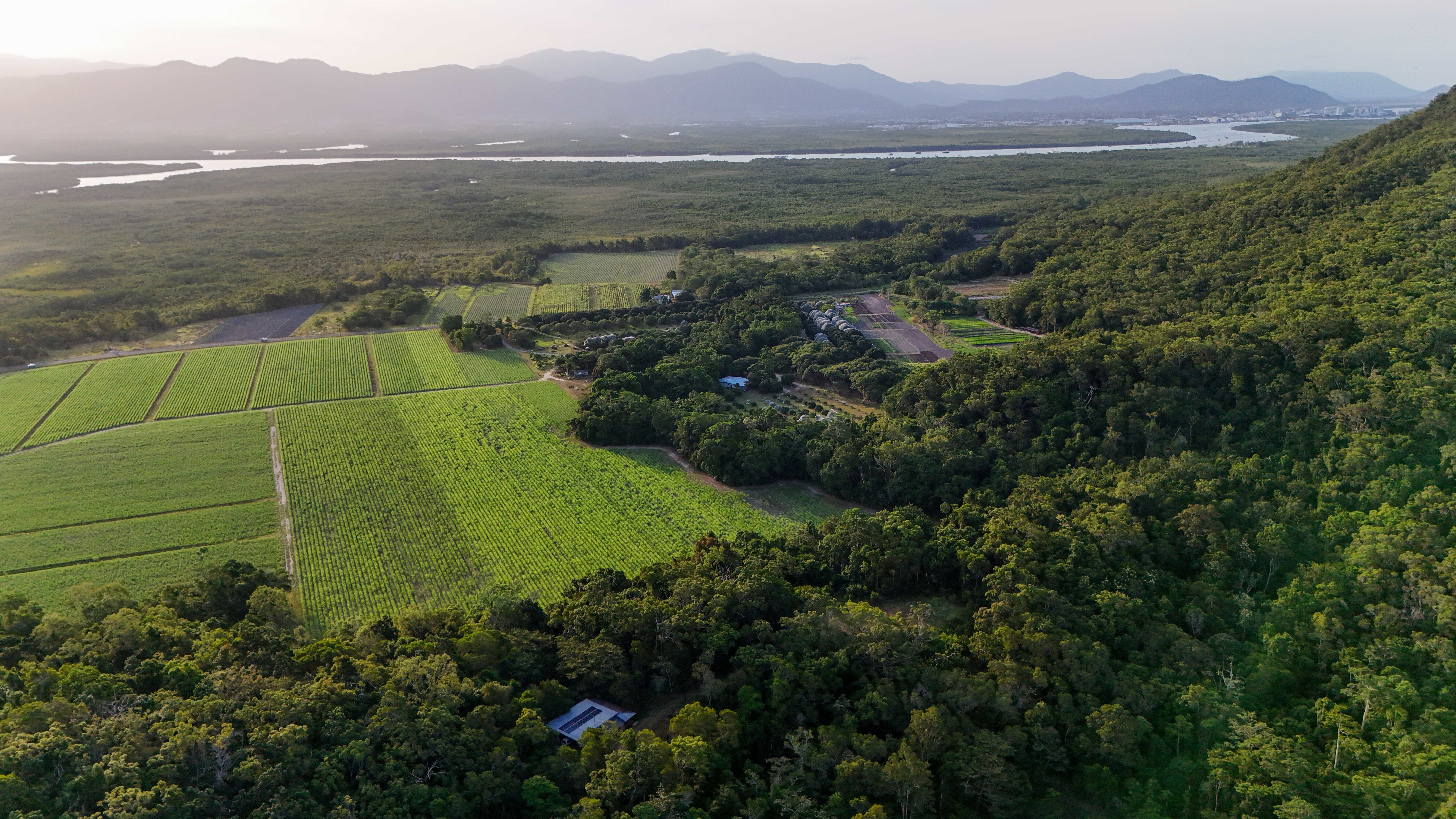 Create Your Idyllic Lifestyle to Include Future Potential Income on 342 acres — photo 3 of 30