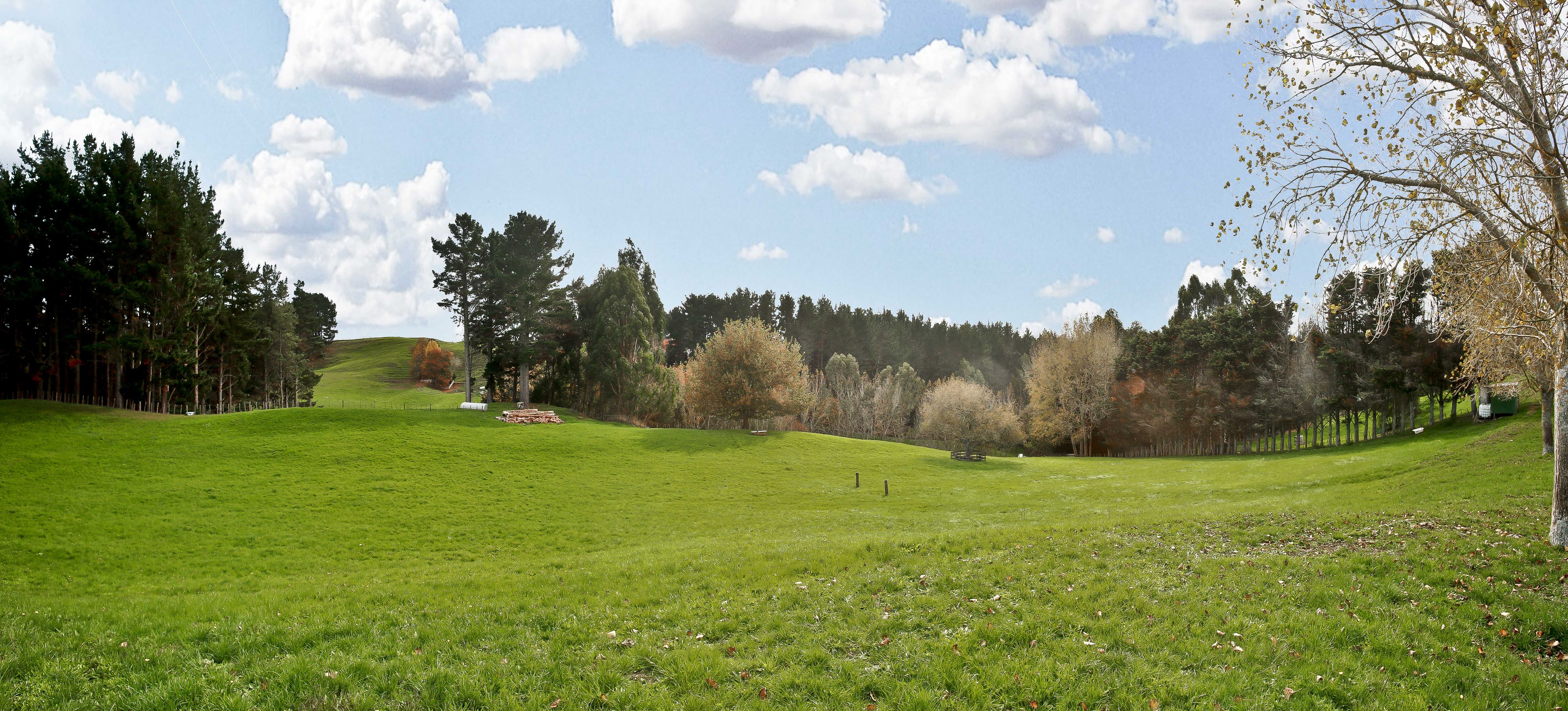 53D Karakariki Road, Whatawhata, Waikato District