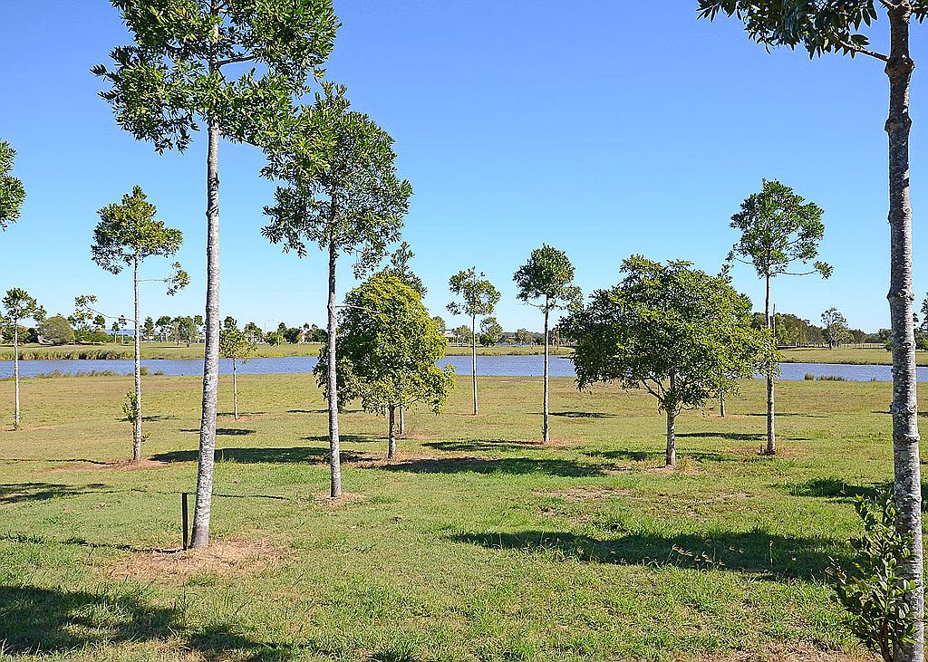 7 Brolga Court, Eli Waters, QLD 4655