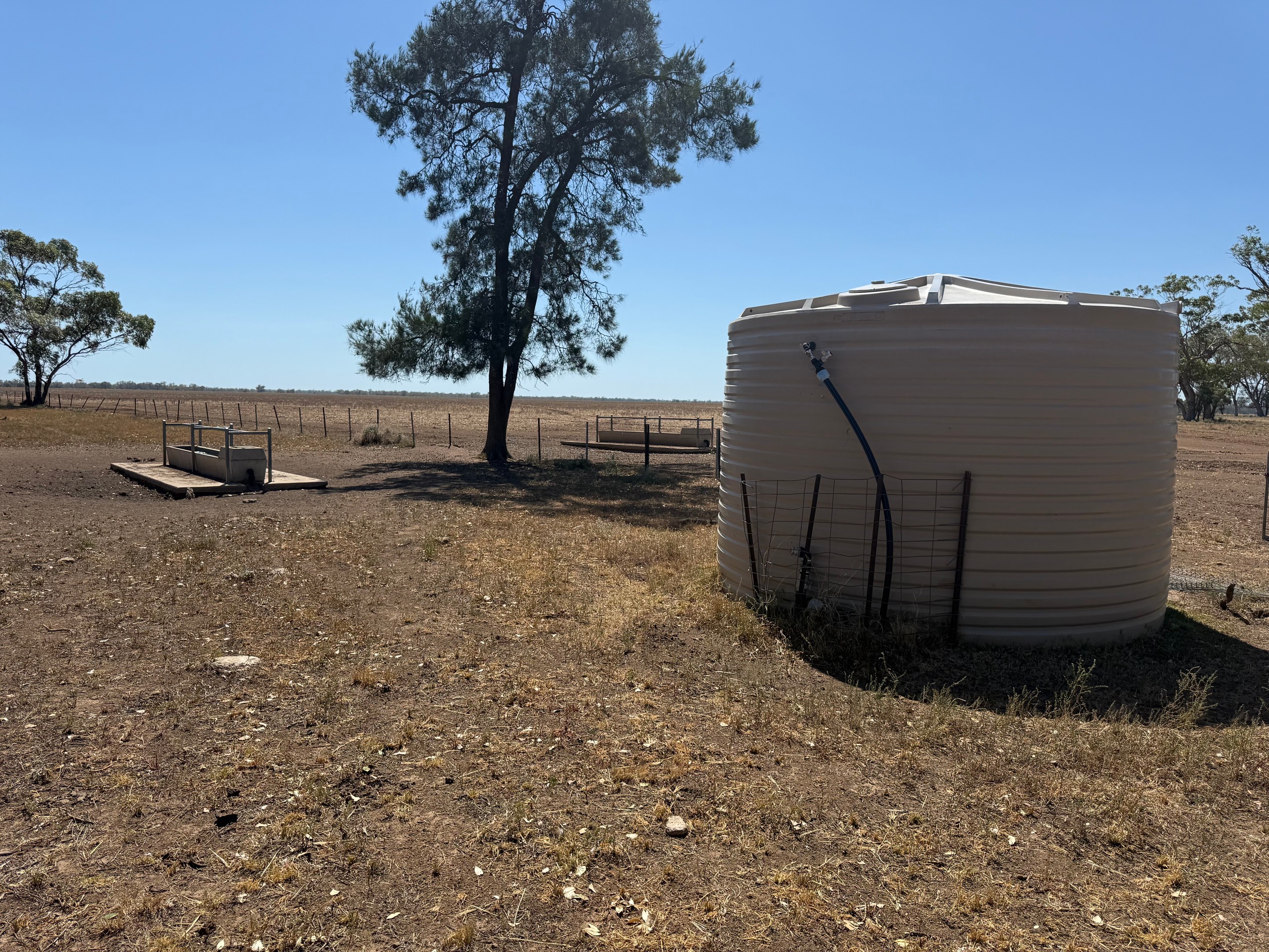 3331 Gingham Road, Moree, NSW 2400