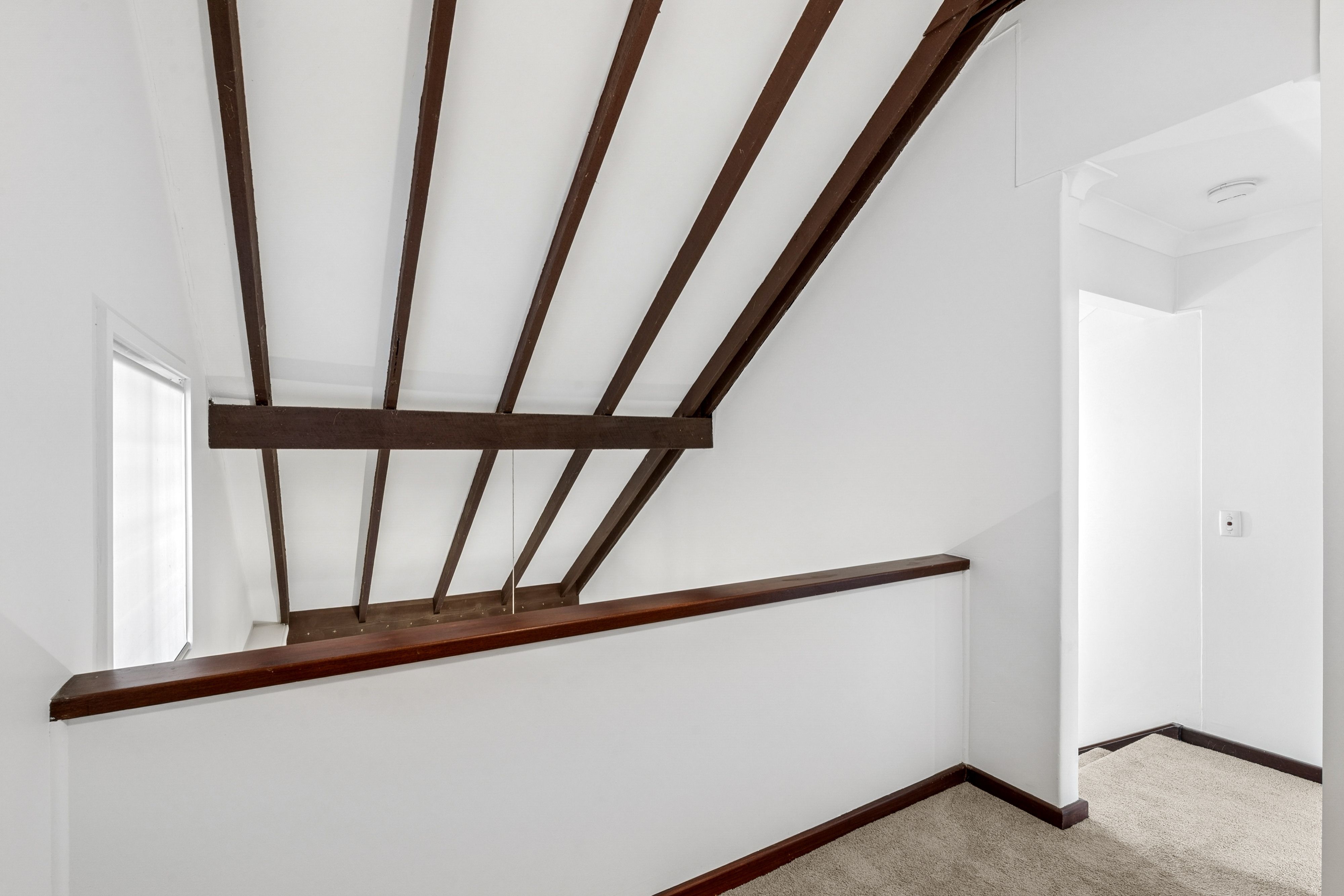 3/8 Shelley Road — photo 18 of 30