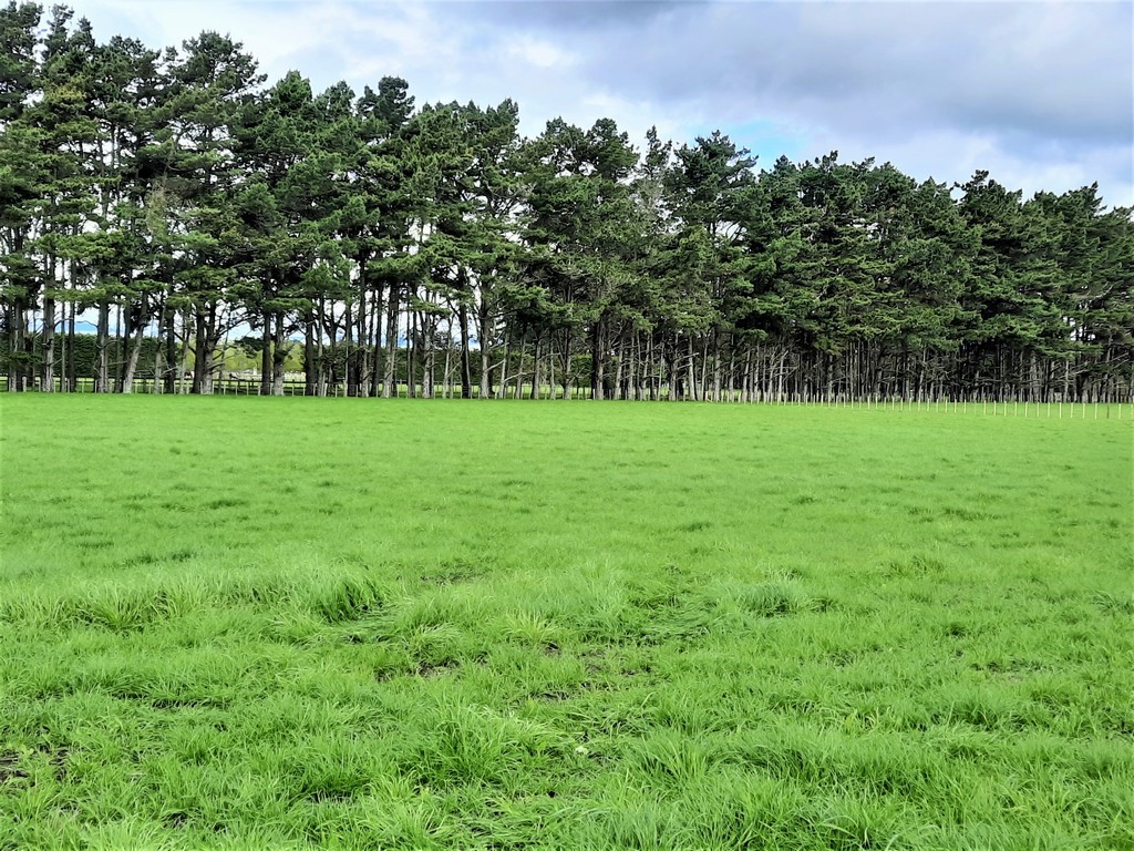 157 Motuiti Road, Foxton, Horowhenua District