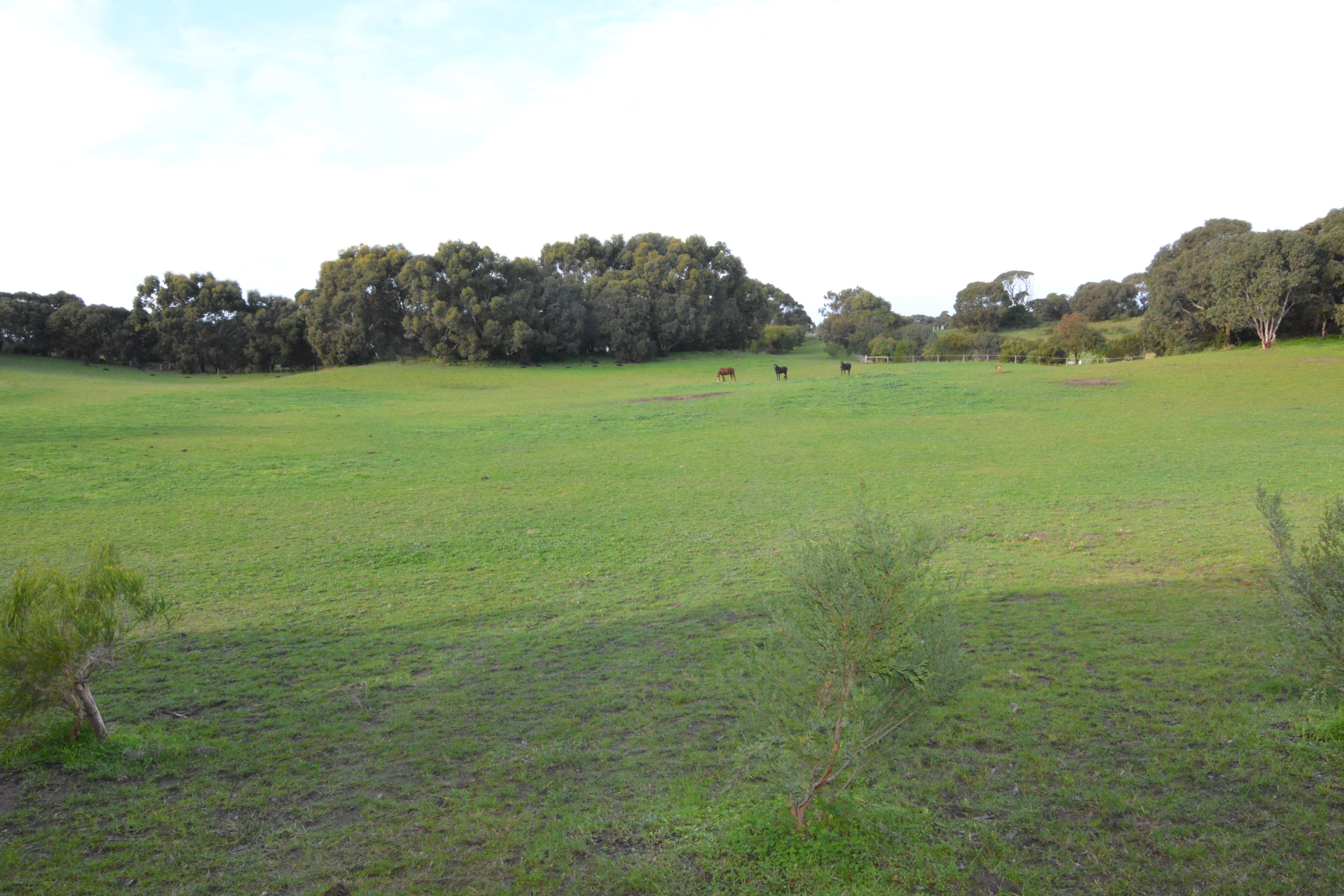 45 Quinlan-Watson Drive, Robe, SA 5276