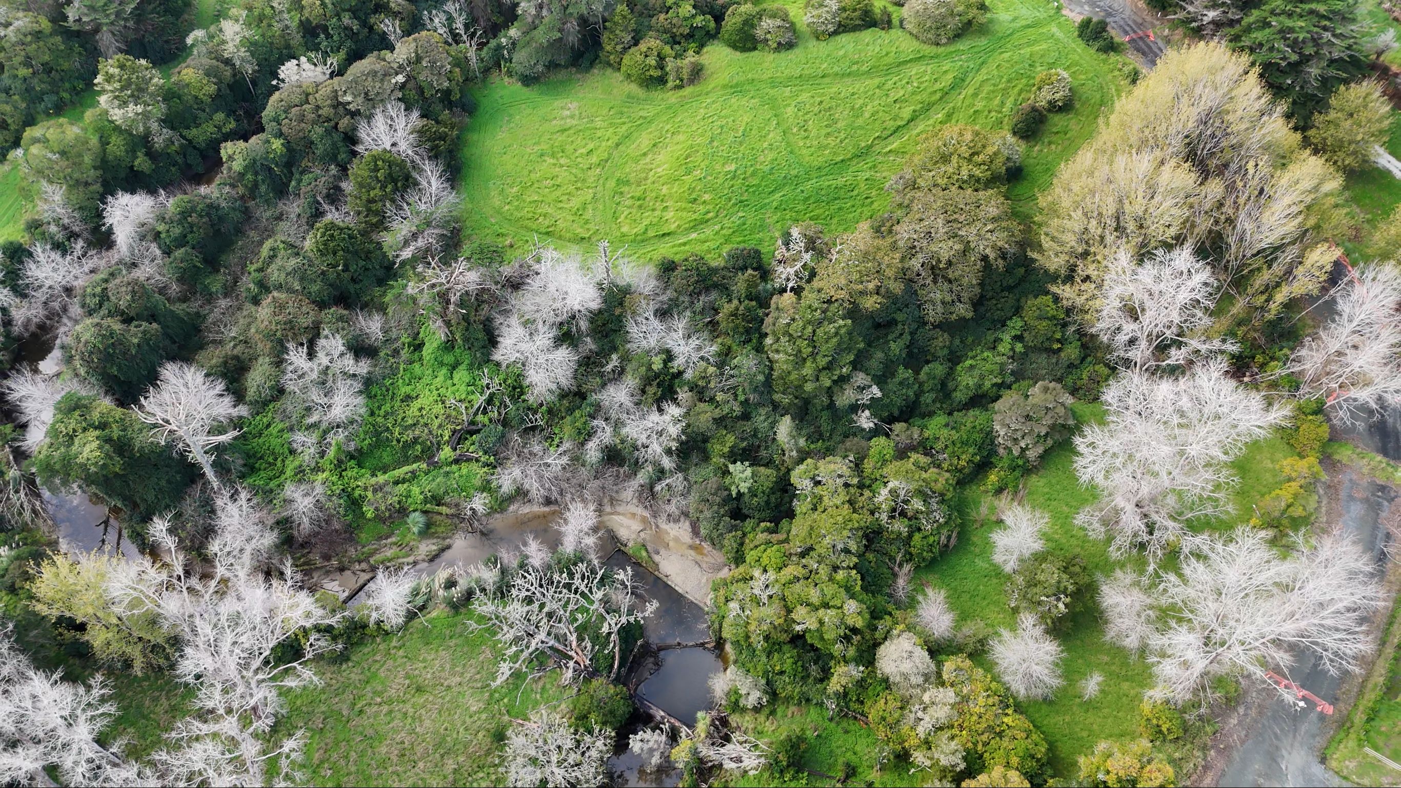8 Huarau Road, Maungaturoto, Kaipara District