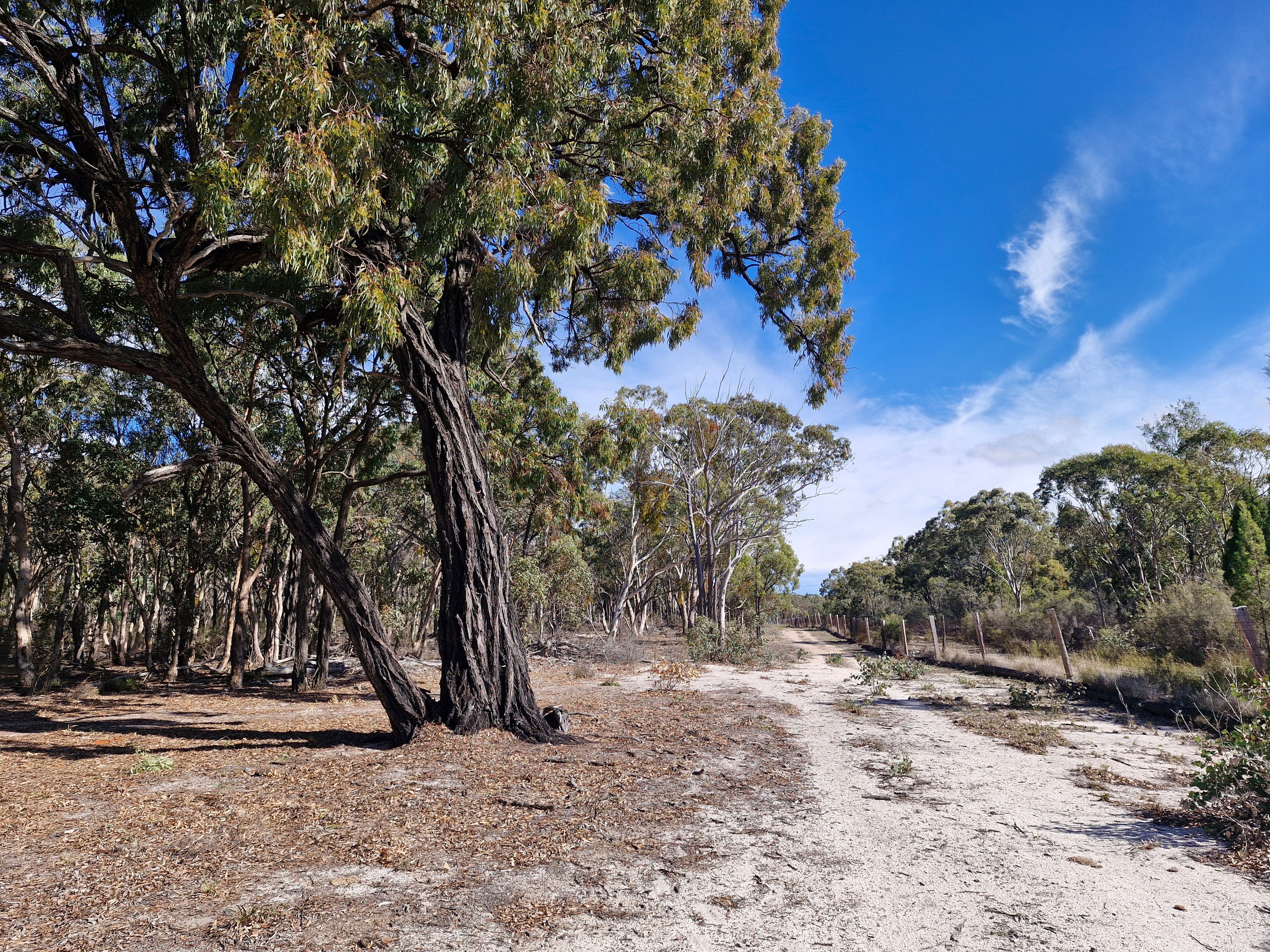 Lot 42 Ravensmoor Road — photo 12 of 13