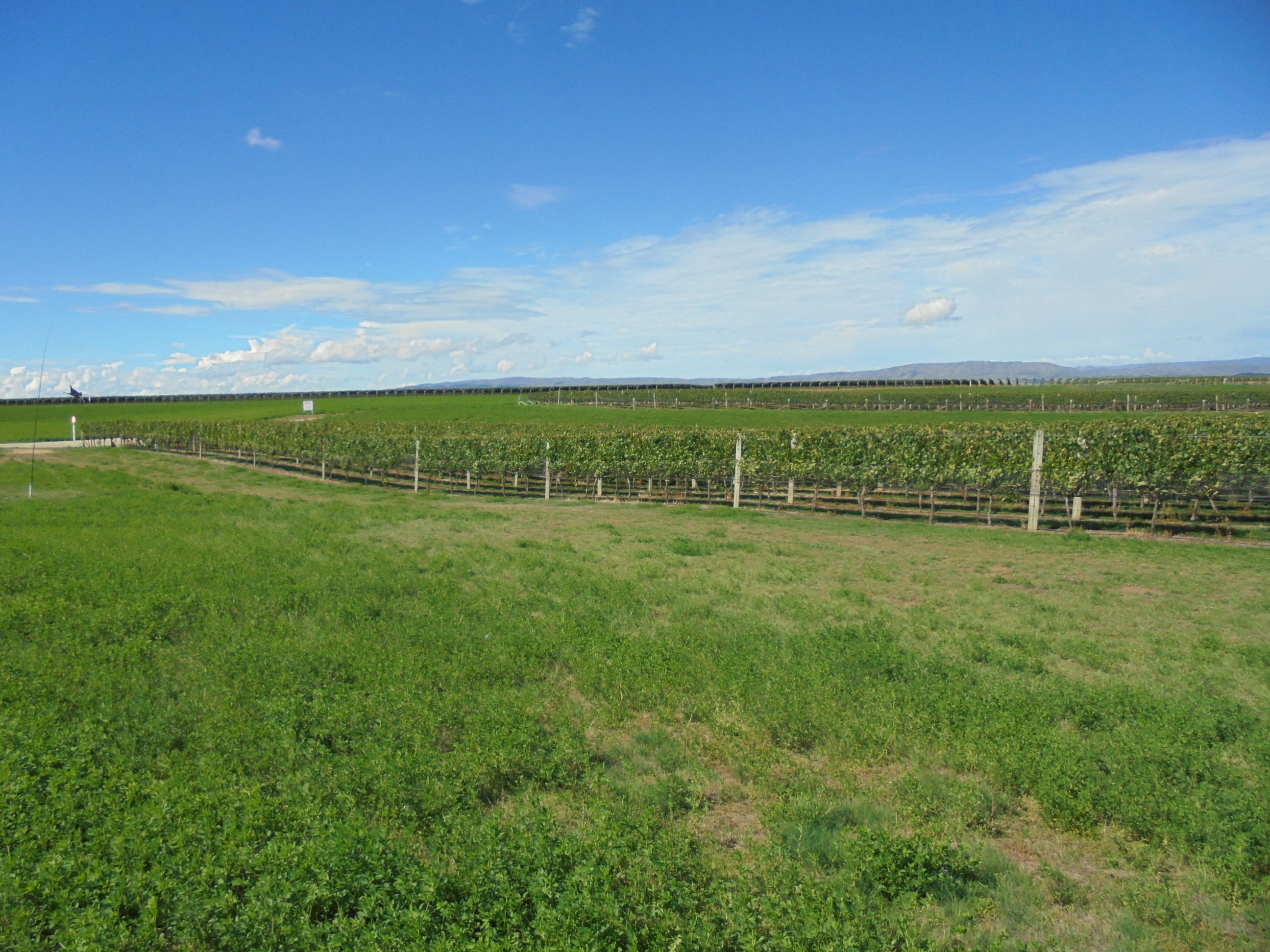 Lot 110 McArthur Road, Alexandra, Central Otago District