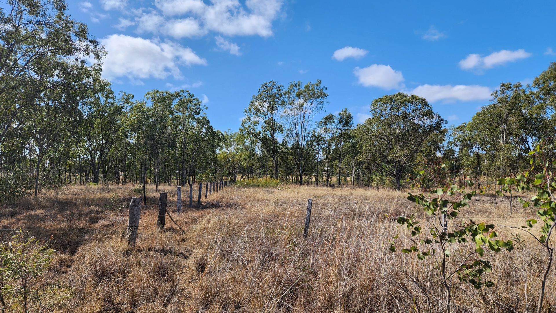 91101 Queen Street, Gayndah, QLD 4625 Land for Sale Ray White
