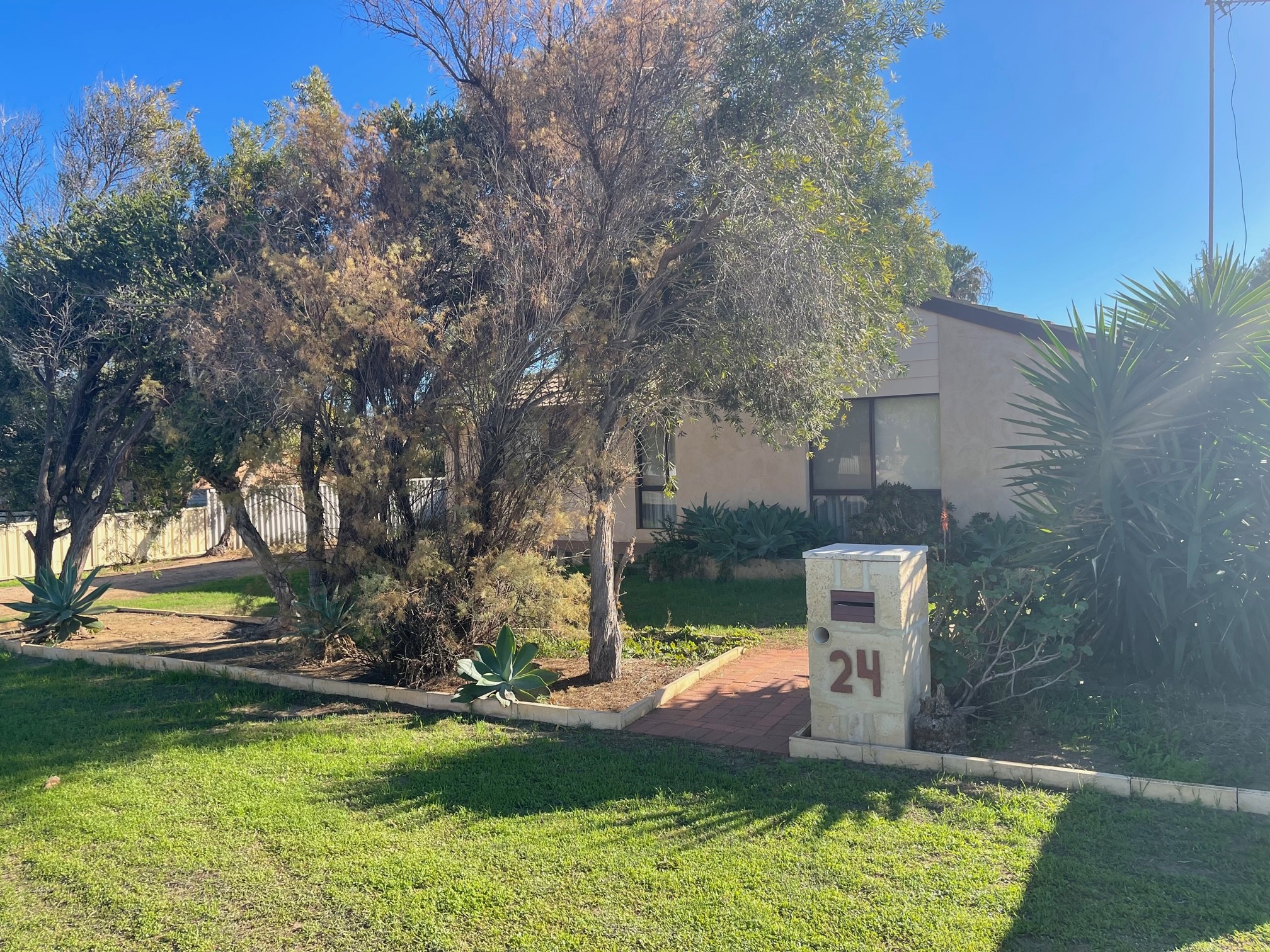 24 Clementina Road, Dongara, WA 6525