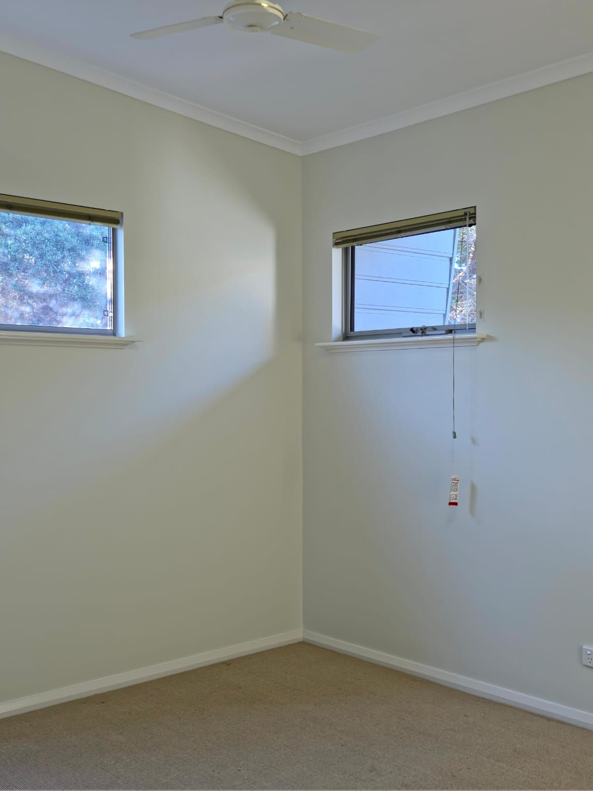118 Canning Boulevard — photo 20 of 25