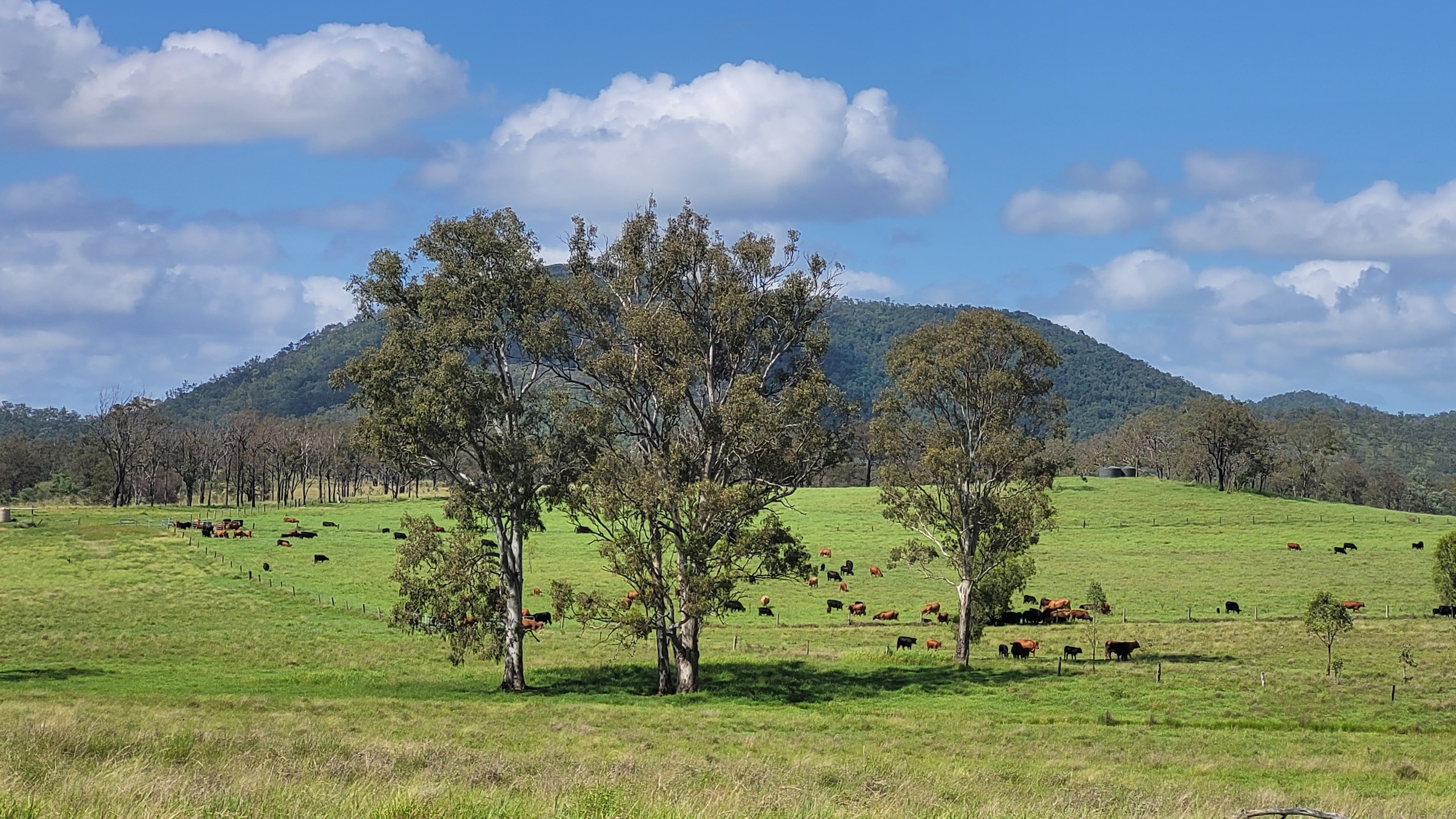 269 Degilbo Mines Road, Biggenden, QLD 4621