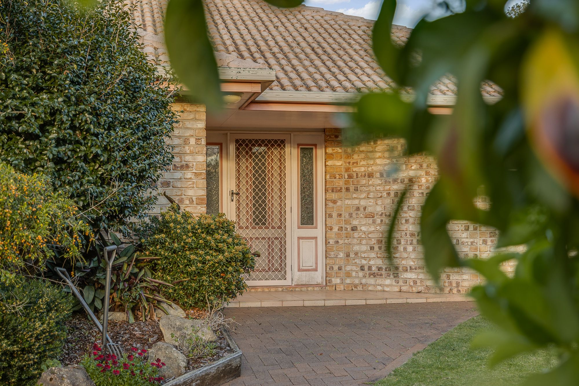 5 Edwin Court, Centenary Heights, QLD 4350