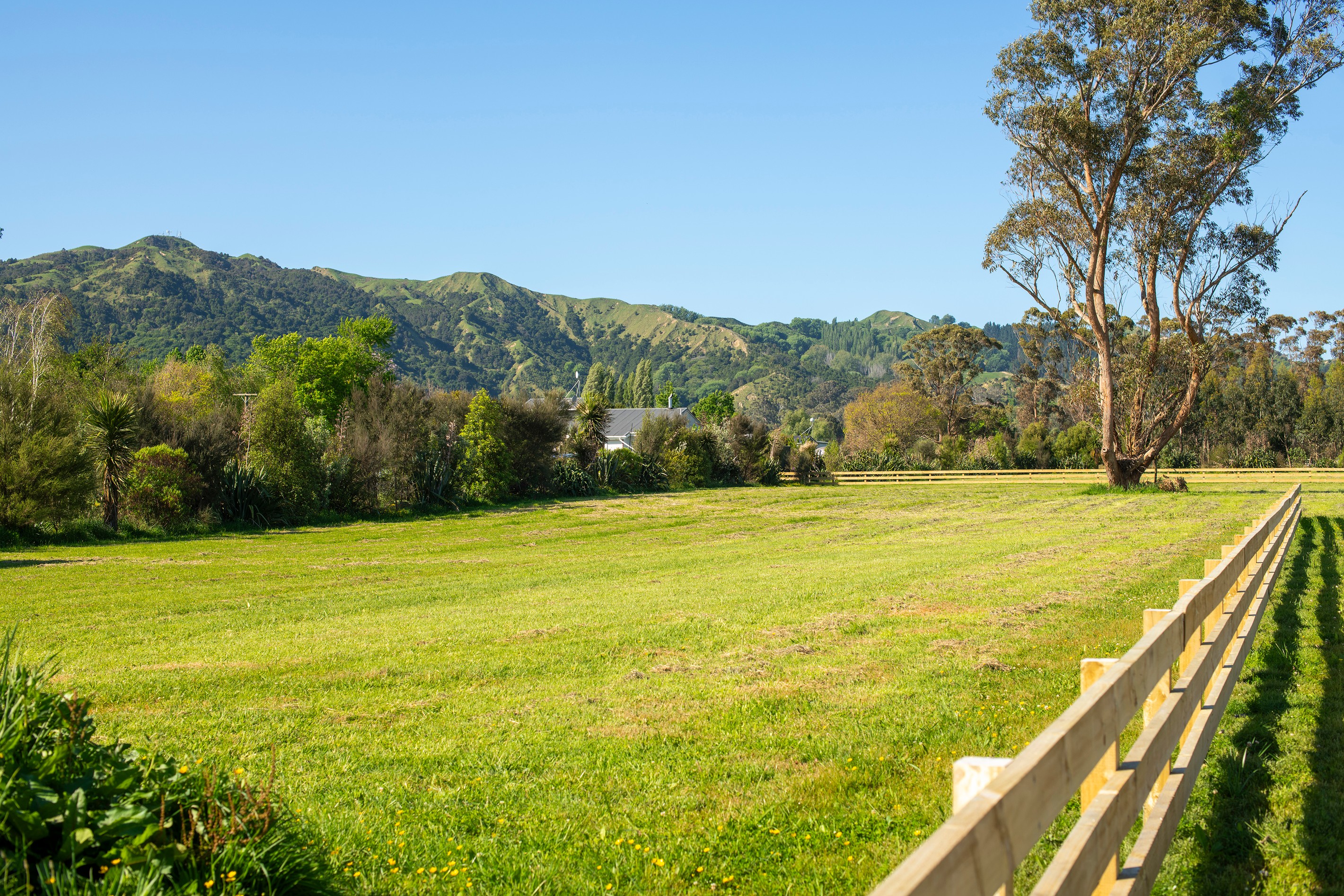 715 Back Ormond Road, Makauri, Gisborne District