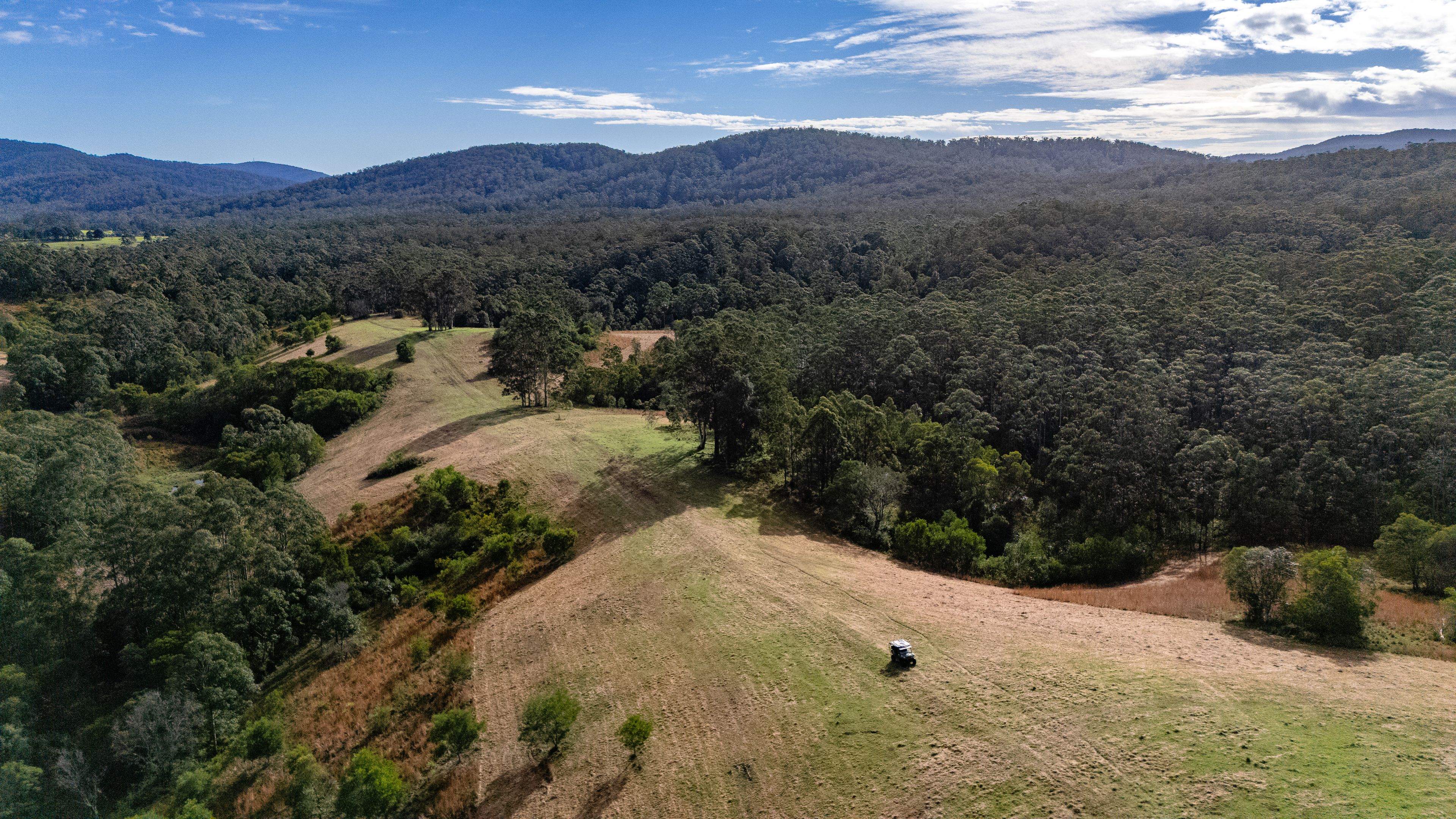 229 Wattley Hill Road — photo 10 of 17
