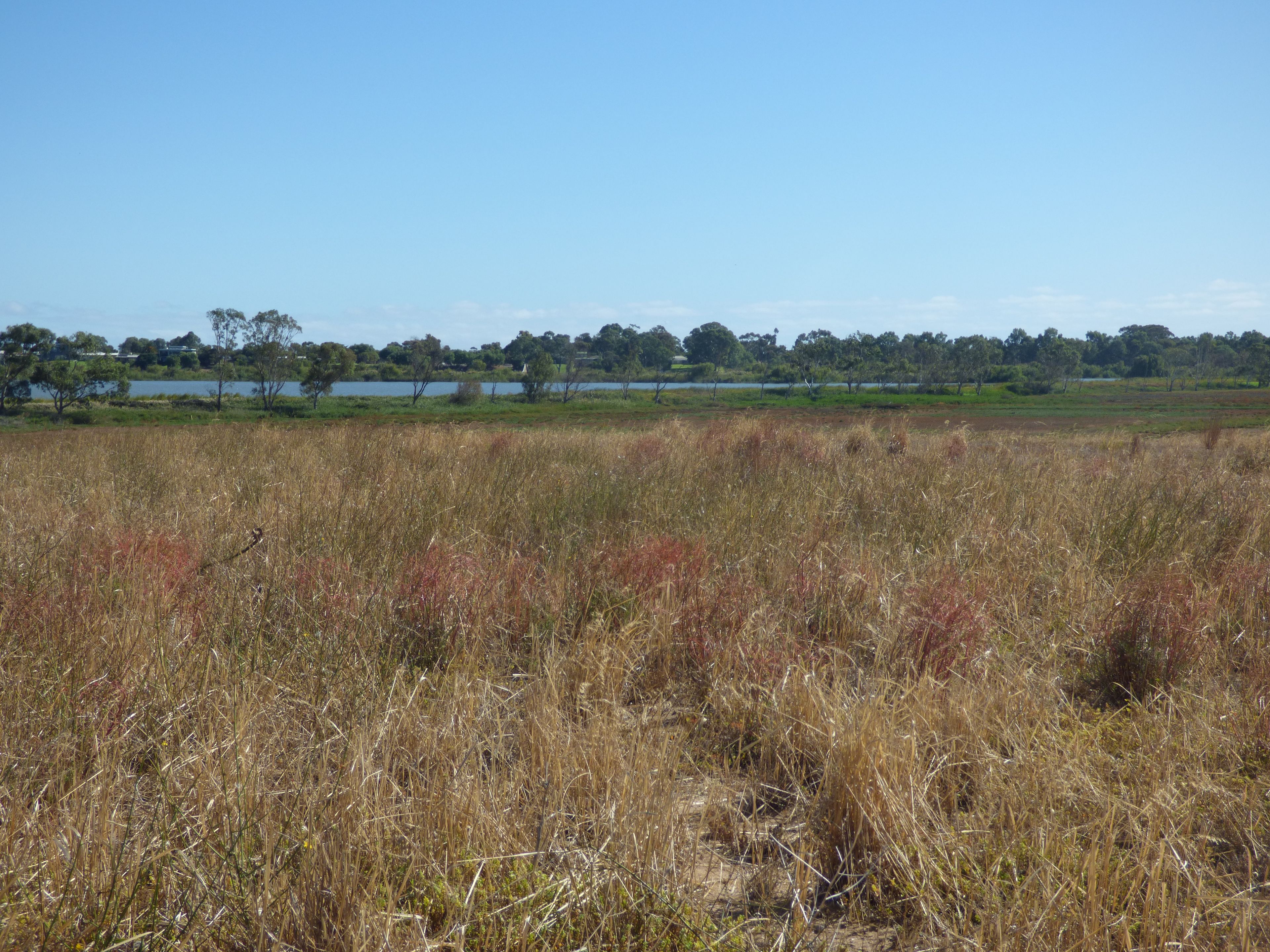 Lot 91 Alison Court, WELLINGTON EAST, SA 5259