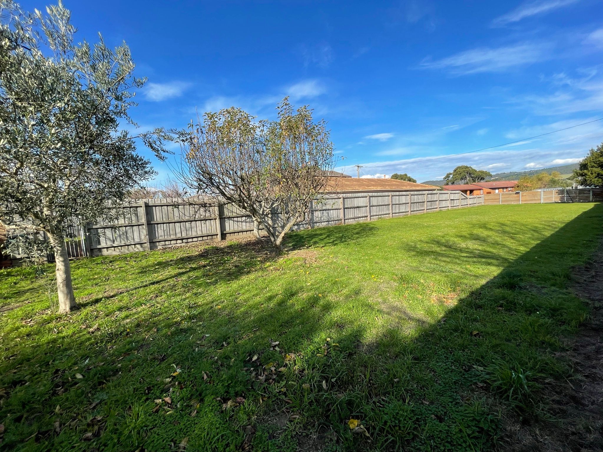 27 Balmoral Avenue — photo 5 of 23