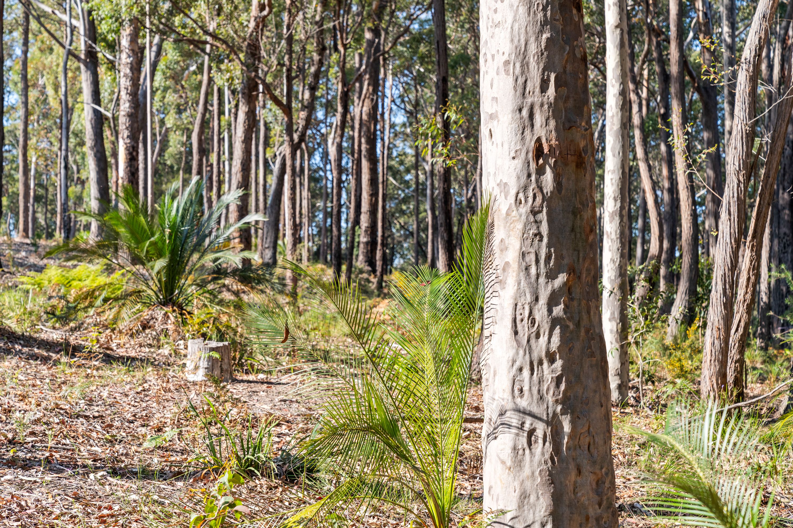 Lot 30 Clyde View Drive — photo 12 of 14