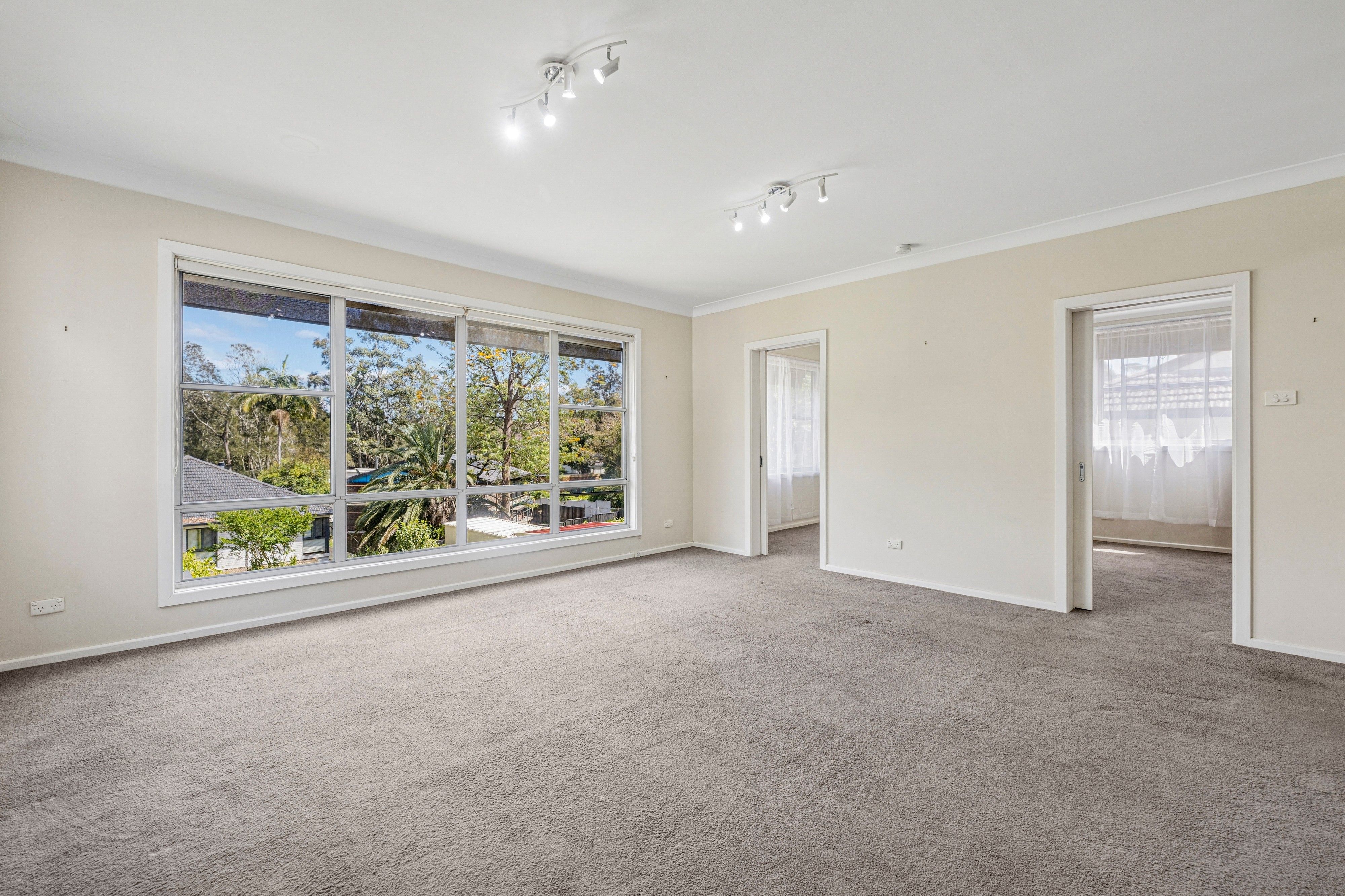 25 Elwin Street — photo 17 of 30