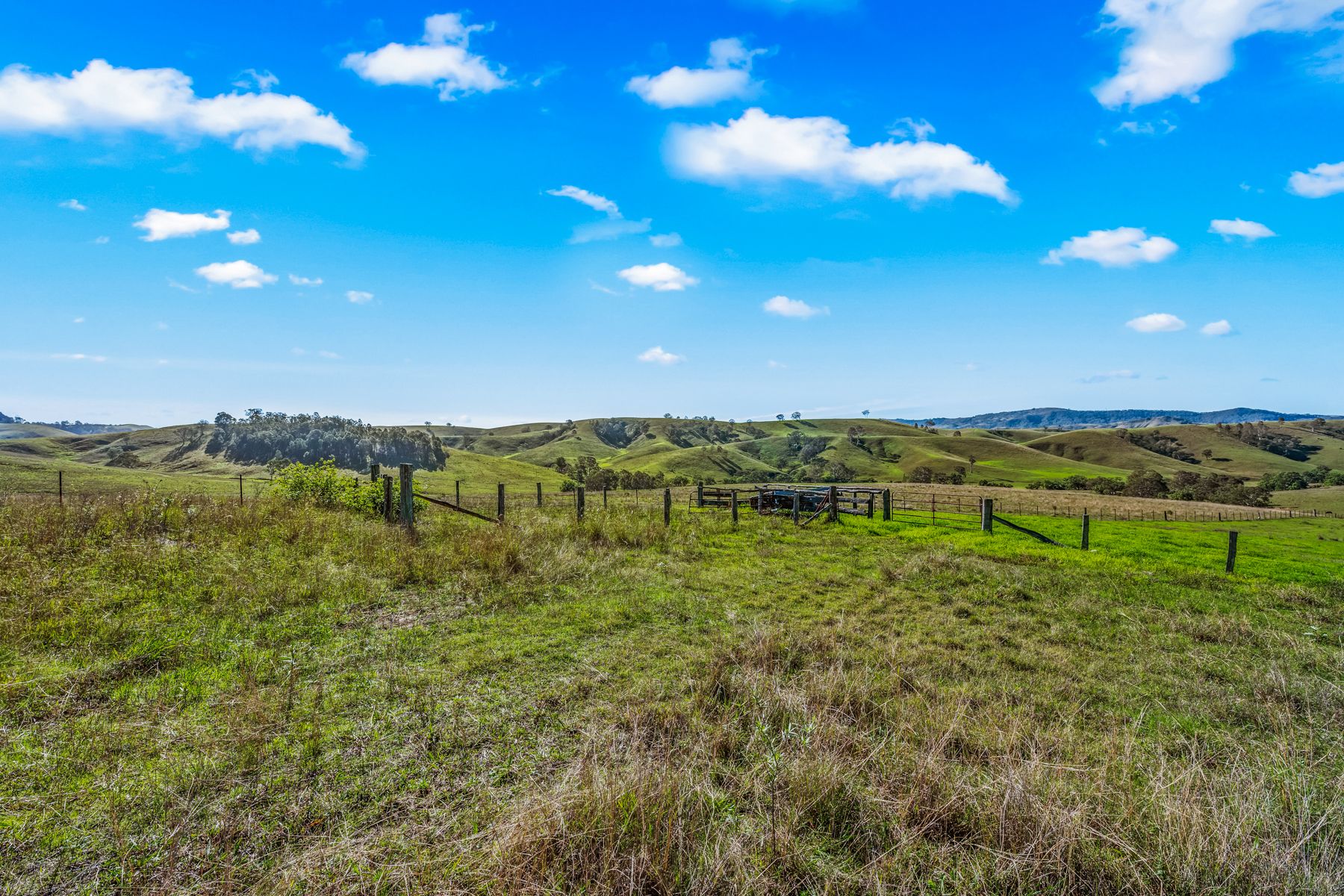 Off Goorangoola Road Greenlands — photo 17 of 19