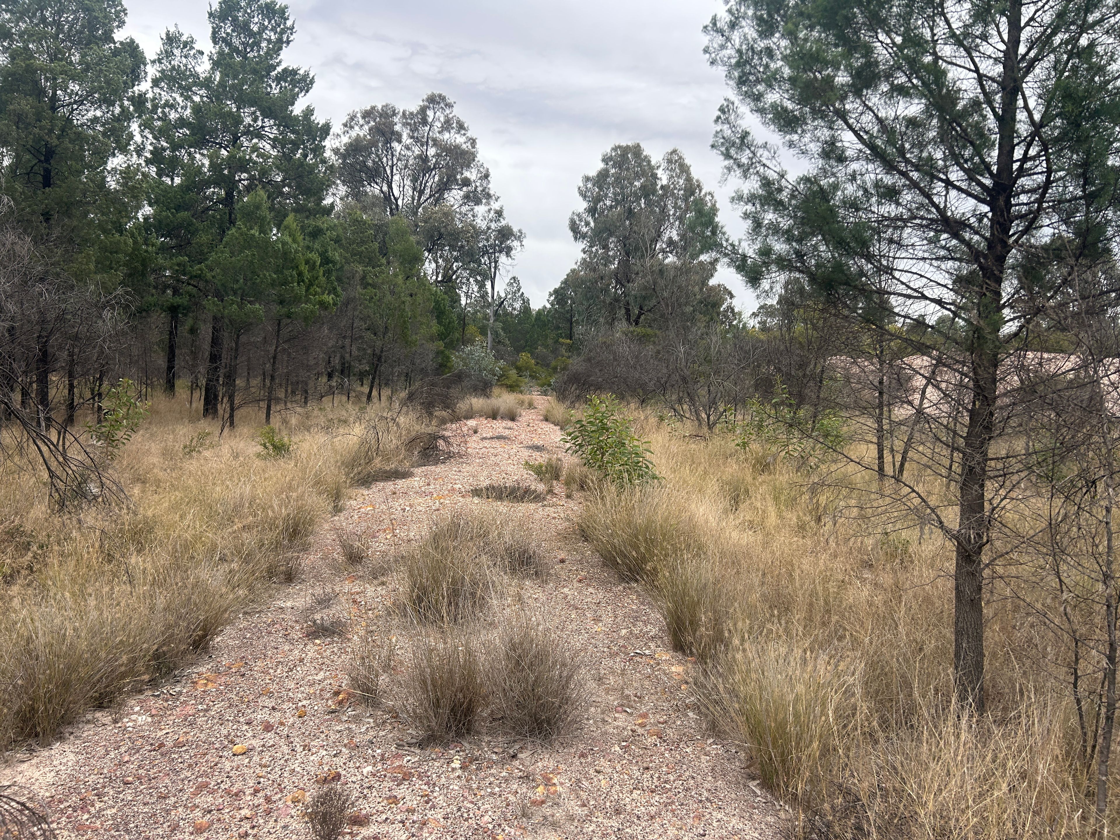 Males Drive, Tara, QLD 4421