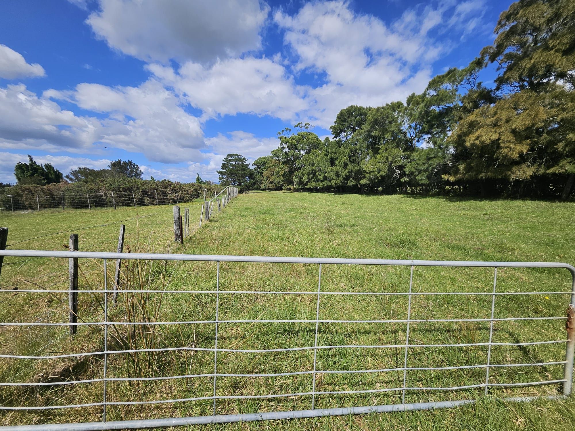 225 Spains Road, Awanui, Far North District 0486 Lifestyle Section