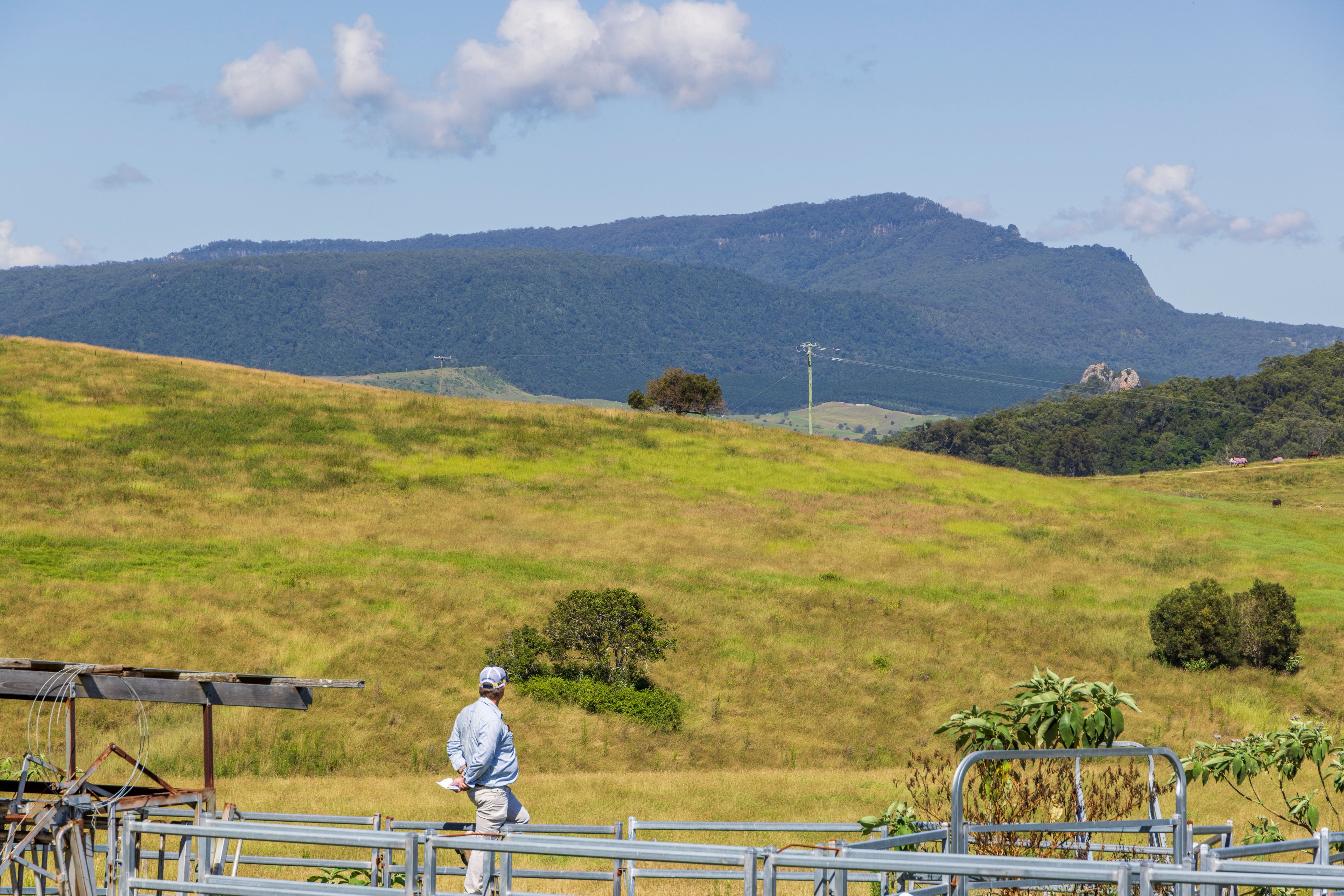 381 Barney View Road, Palen Creek, QLD 4287 Rural Lifestyle Property