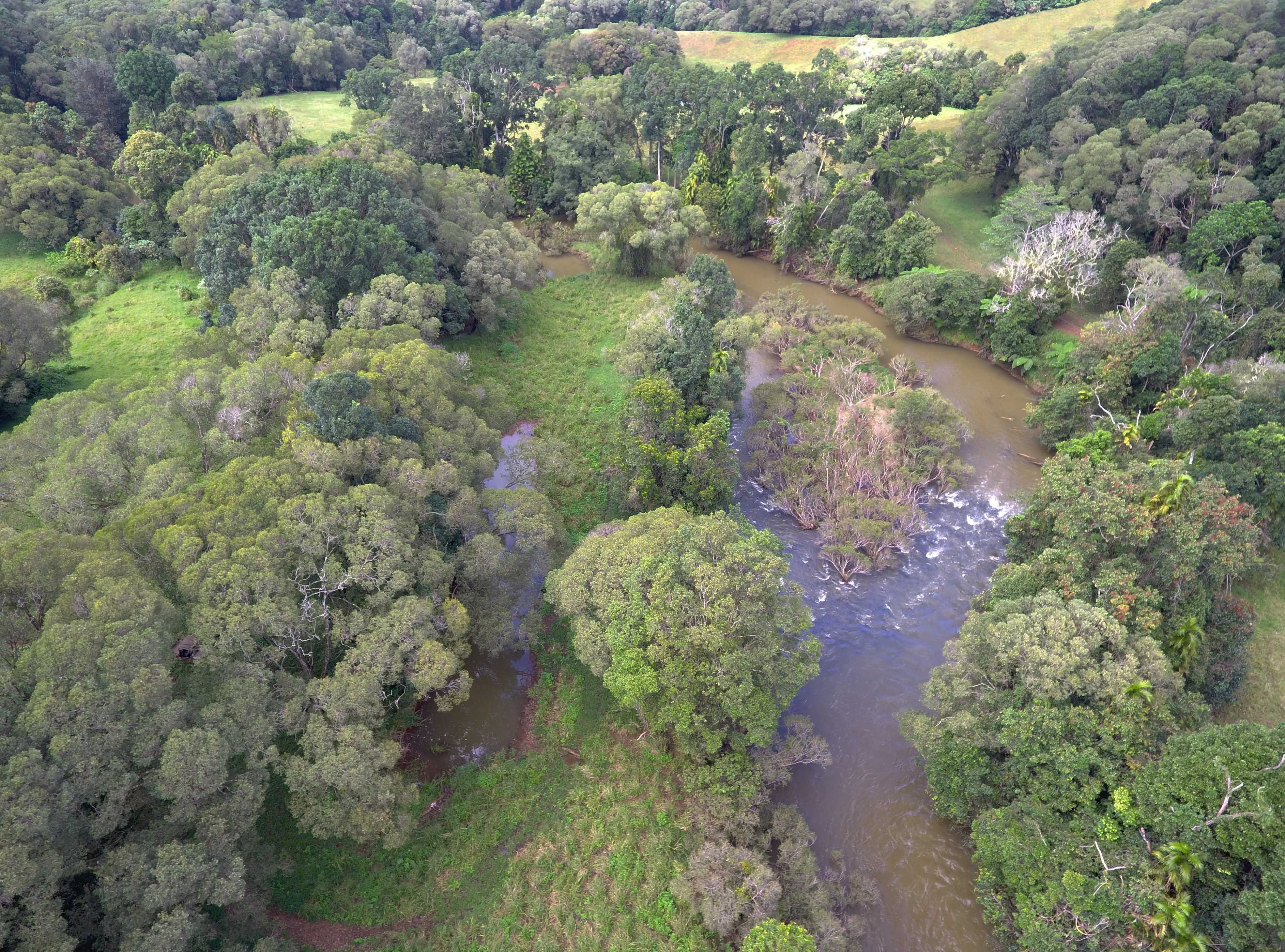 RN928 Glen Allyn Road, Malanda, QLD 4885